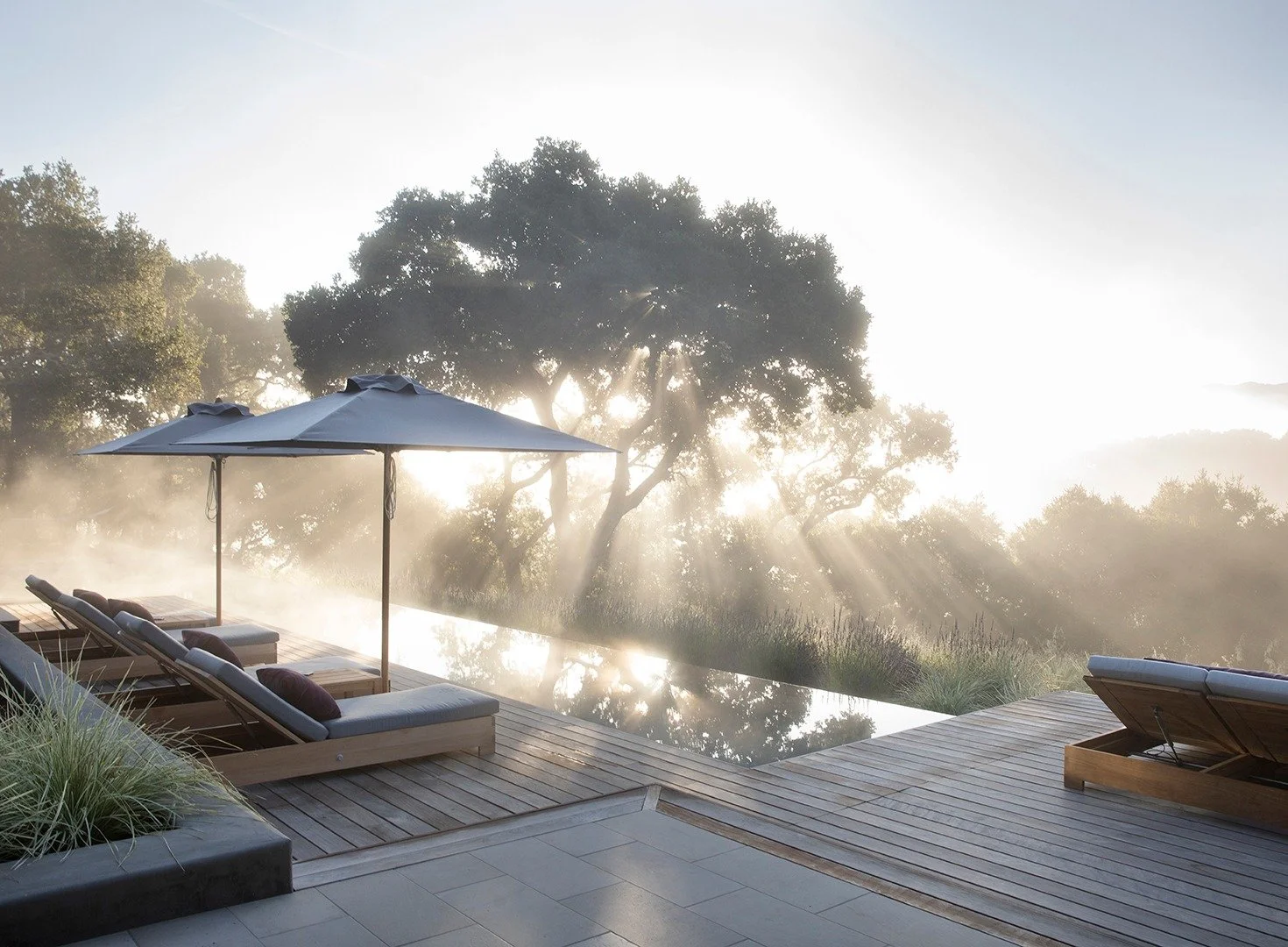 A magical oak woodland drew our clients to this #arterrafridayfeature in the @santaluciapreserve. Fog and the rising sun enhance the feeling of wonder inspired by this oak woodland home.

General Contractor: @vucinaconstruction
Interior Designer: Ste
