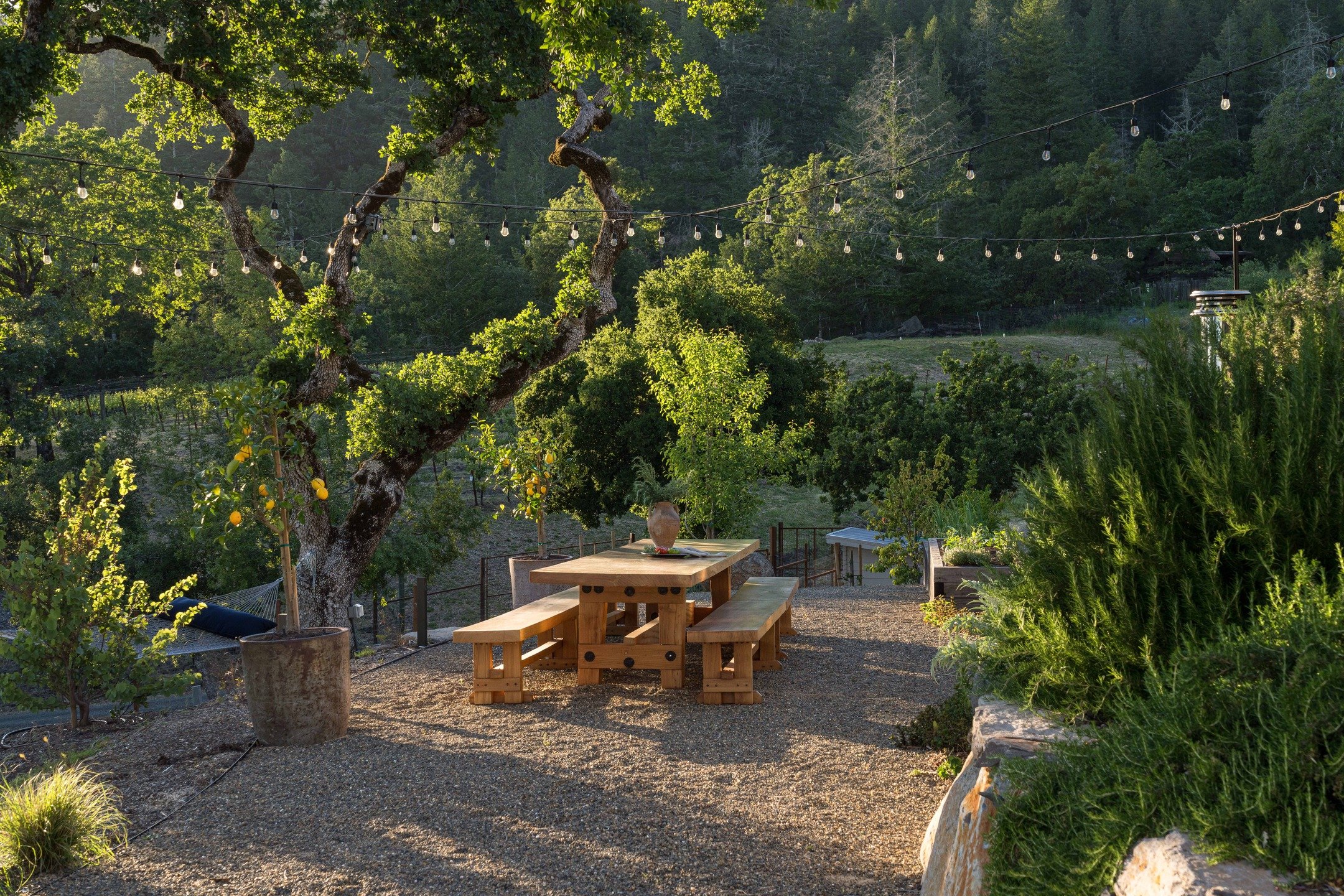 This #arterrafridayfeature is a great example of how we use oaks provide scale and create spaces. This cozy dining area feels so comfortable adjacent to the sweeping vineyard below because of the enclosure this little oak provides.

Architect: @alper
