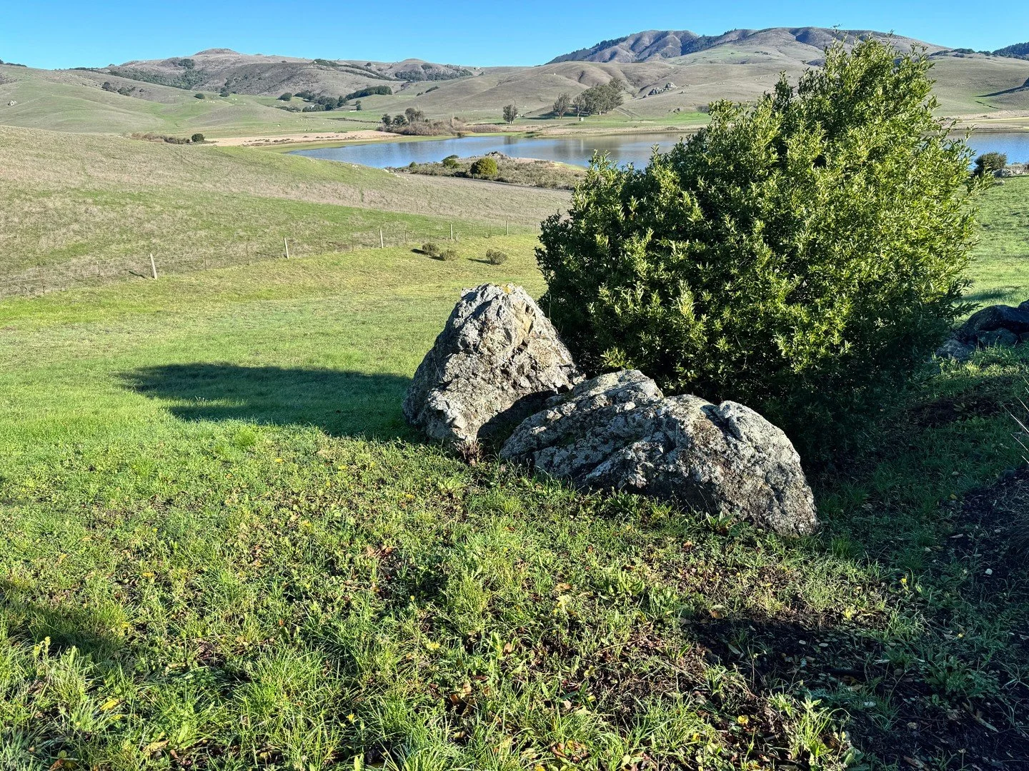 Excited to get started on designs for this amazing site with oversight from the local llamas and longhorns.

#nicasio #arterraonsite #hillsidelandscape