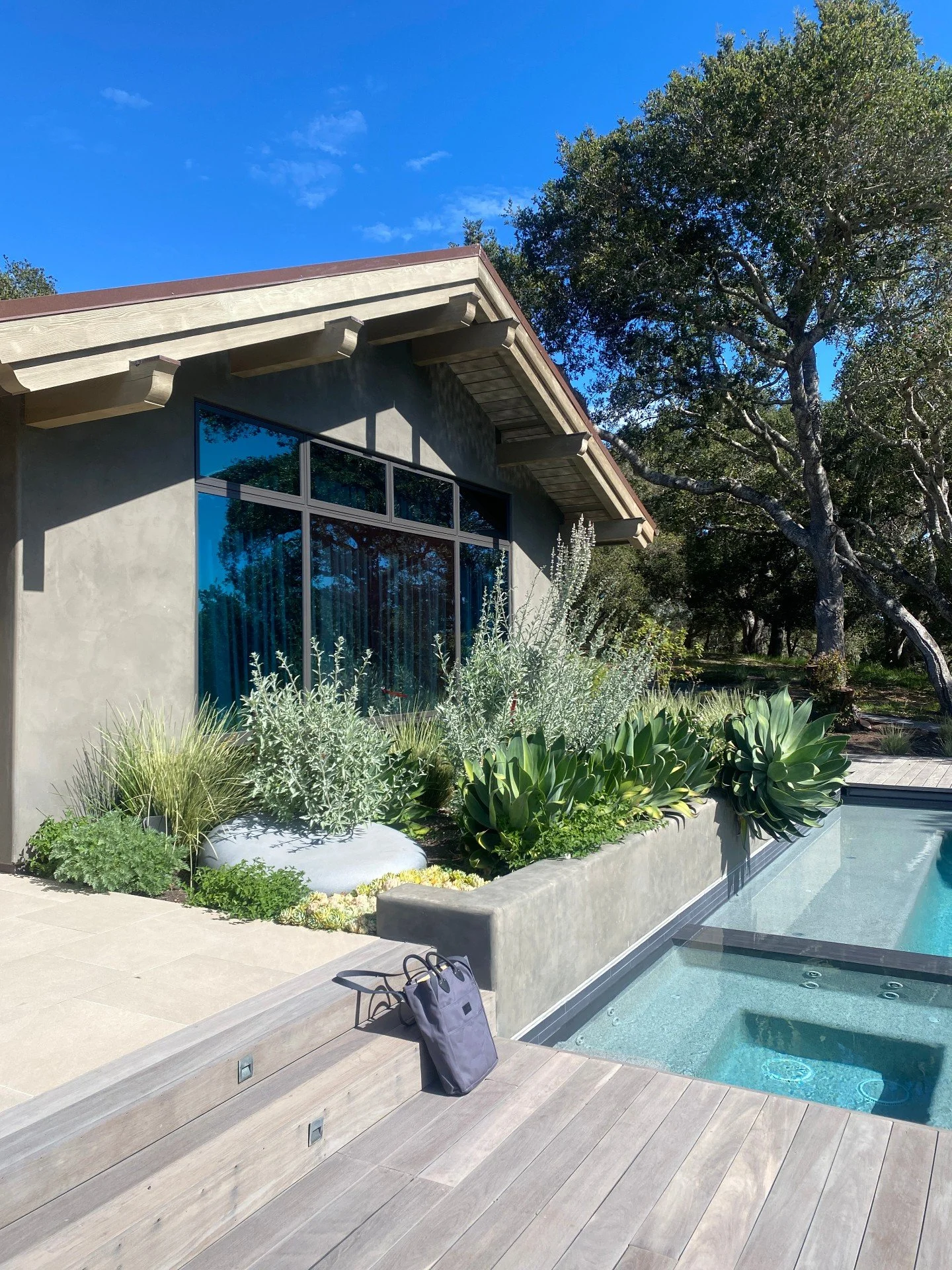 #Waybackwednesday to 2019 when this project was installed. The white sage, agave and succulents are loving this southern exposure. 

Landscape Contractor: Town and Country Landscapes
General Contractor: @vucinaconstruction

#plantingdesign #arterraon