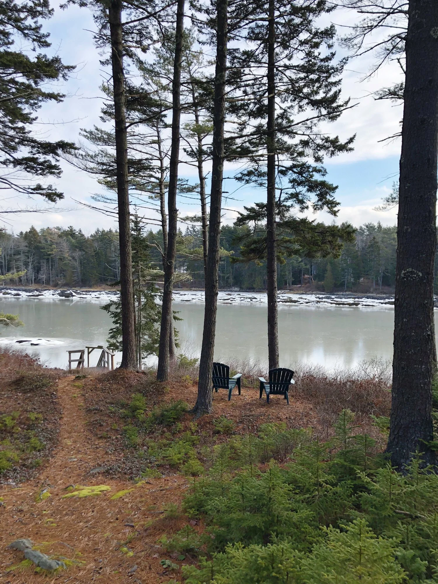 A Cottage Inspired Guest Room, Part I 