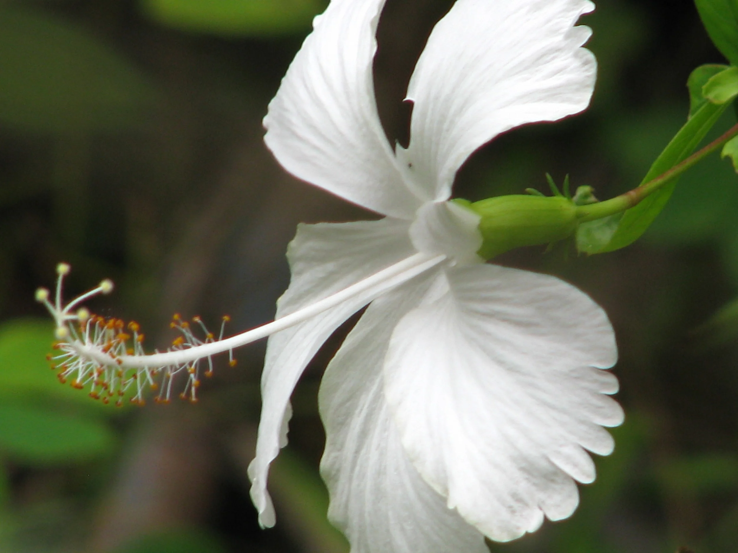 Pleasure. Rapture. Mother Love.