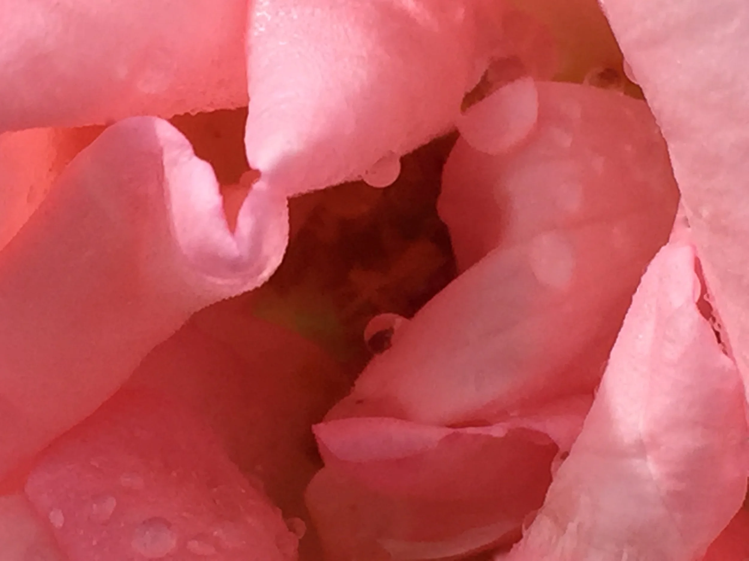 The Depths of Self Love