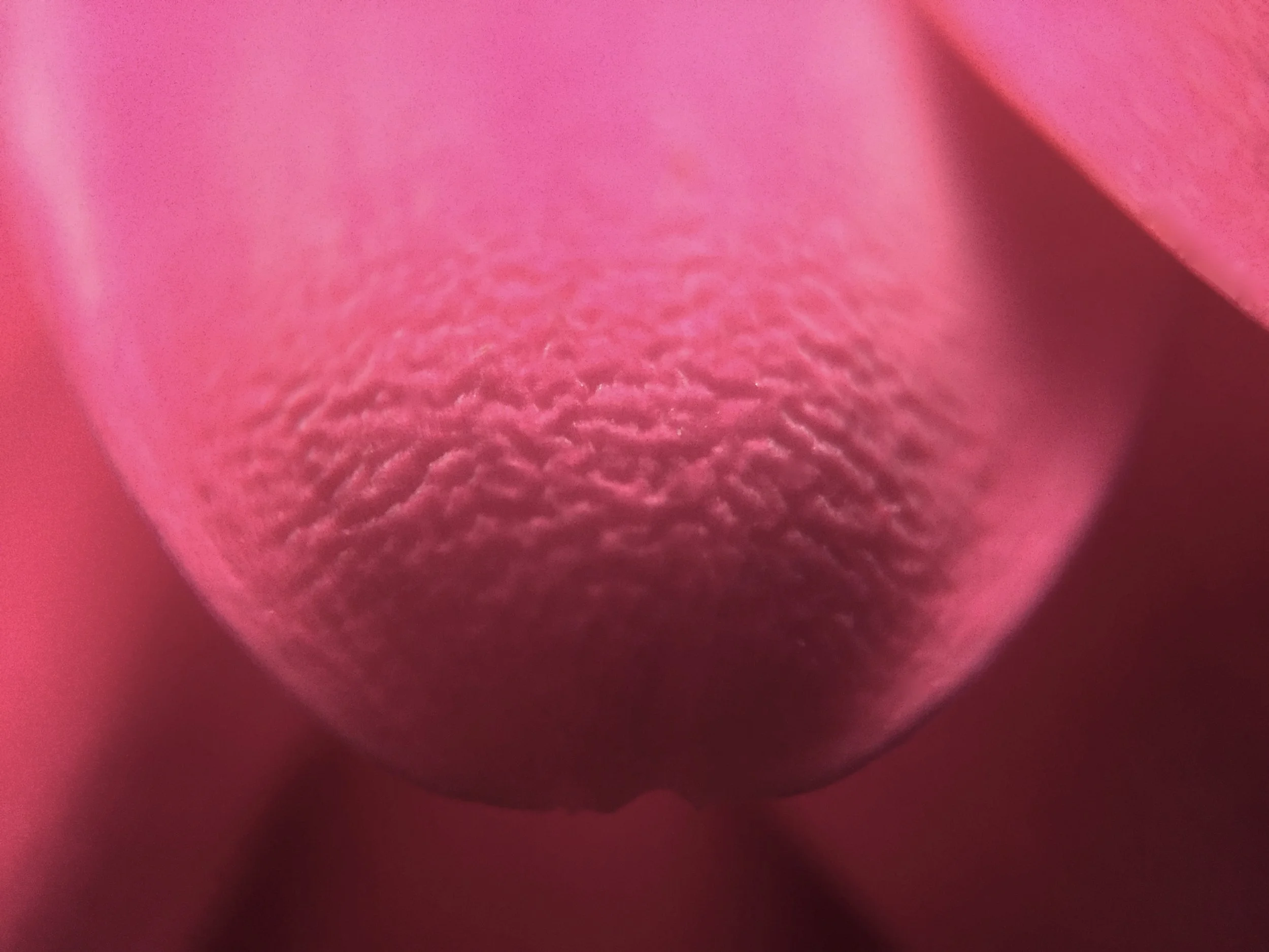 Gardener's delight - a letter