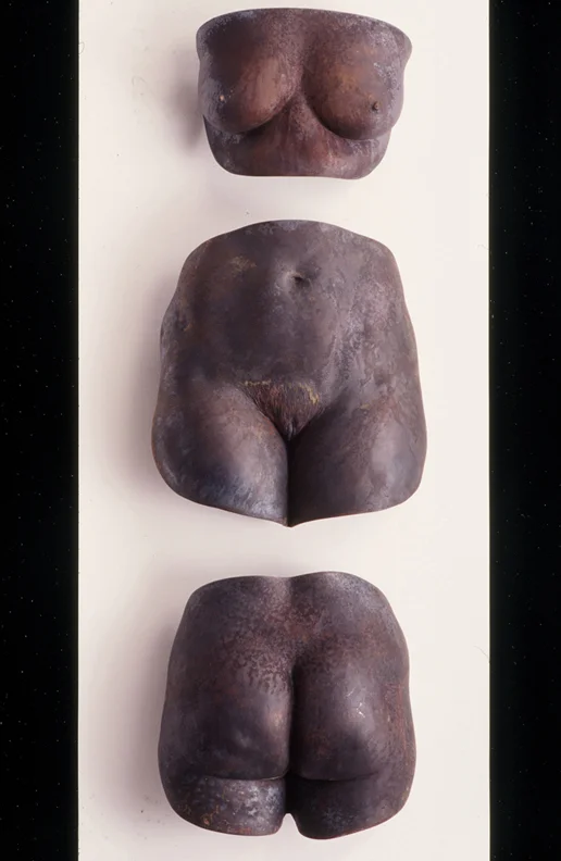 Torso of a Princess - 56 X 40 X 8 in cast bronze, hydrocal & handmade paper
