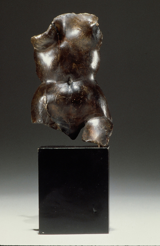 Torso - 15 X 6 X 5 in cast bronze