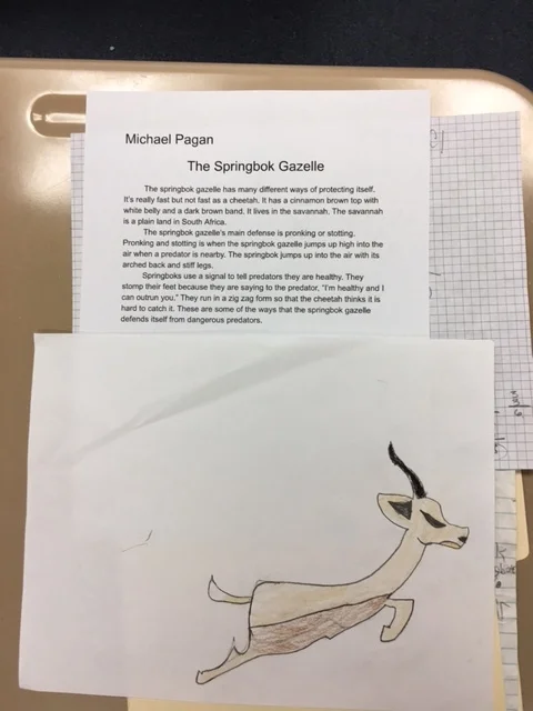 Student Work Springbok Gazelle.JPG