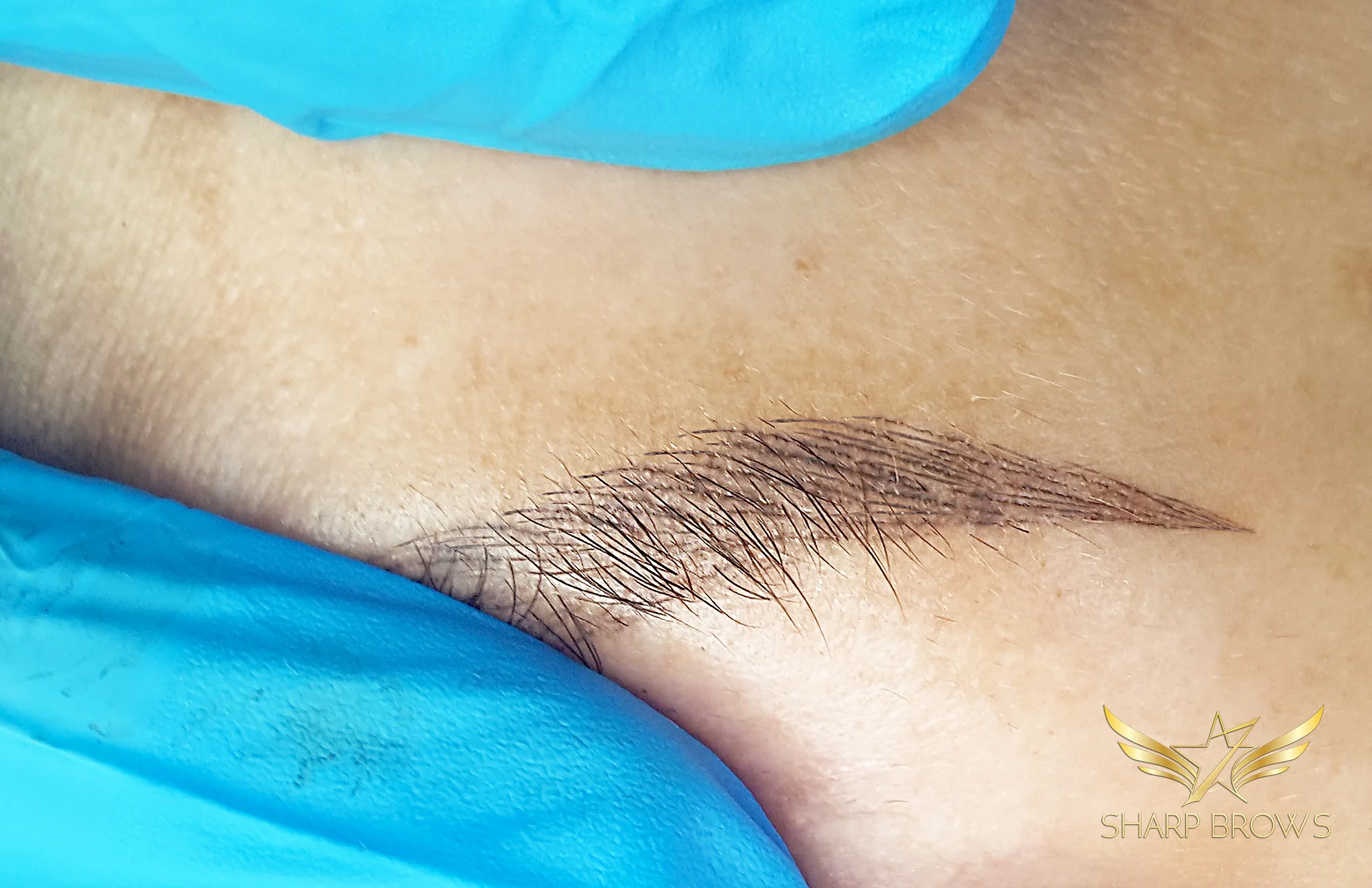 healed8.jpg