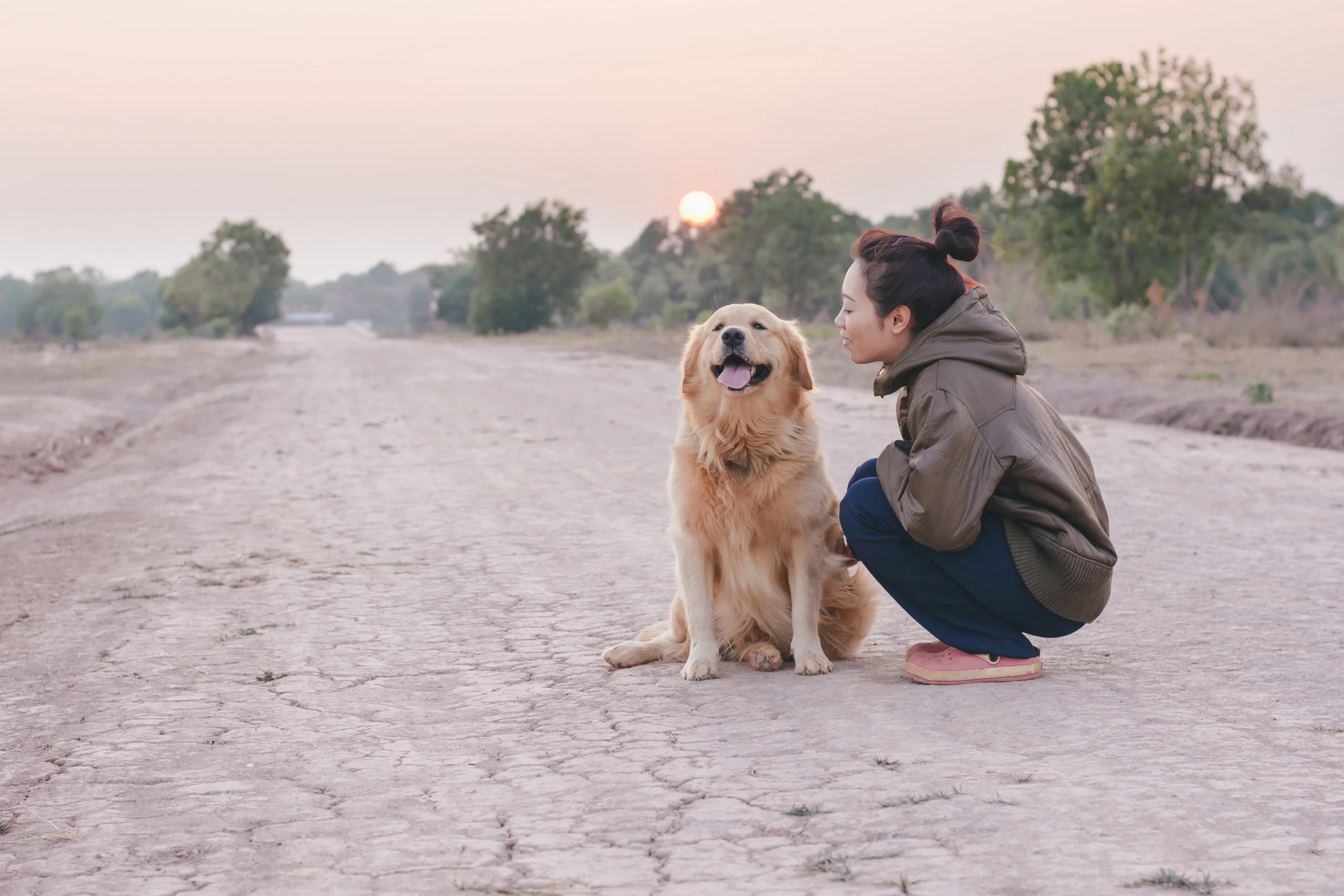 PET MED ZONES | 10 Warning Signs Your Pet Has Cancer
