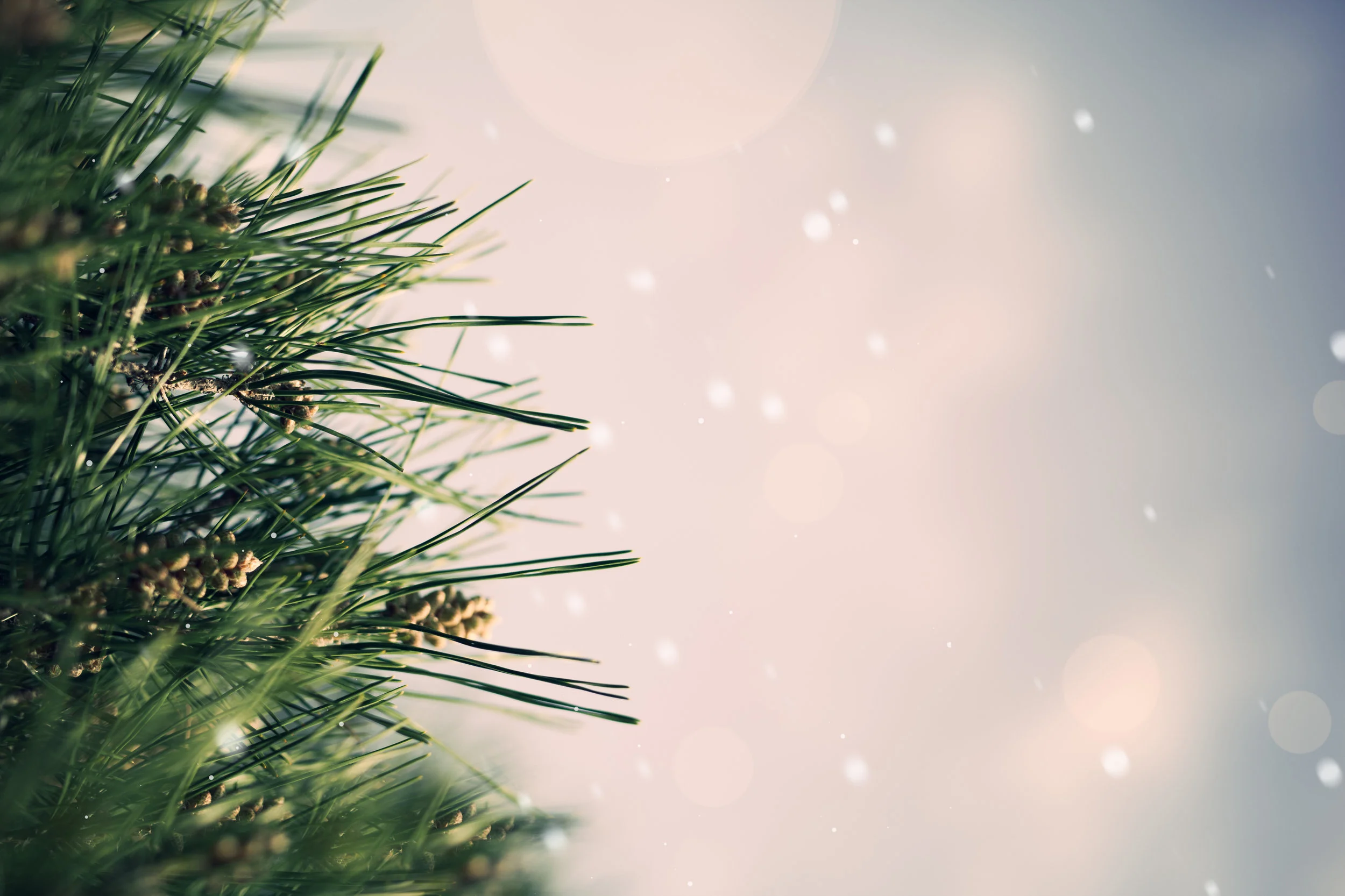 How to Enjoy the Holidays Like a Mother Effing Adult