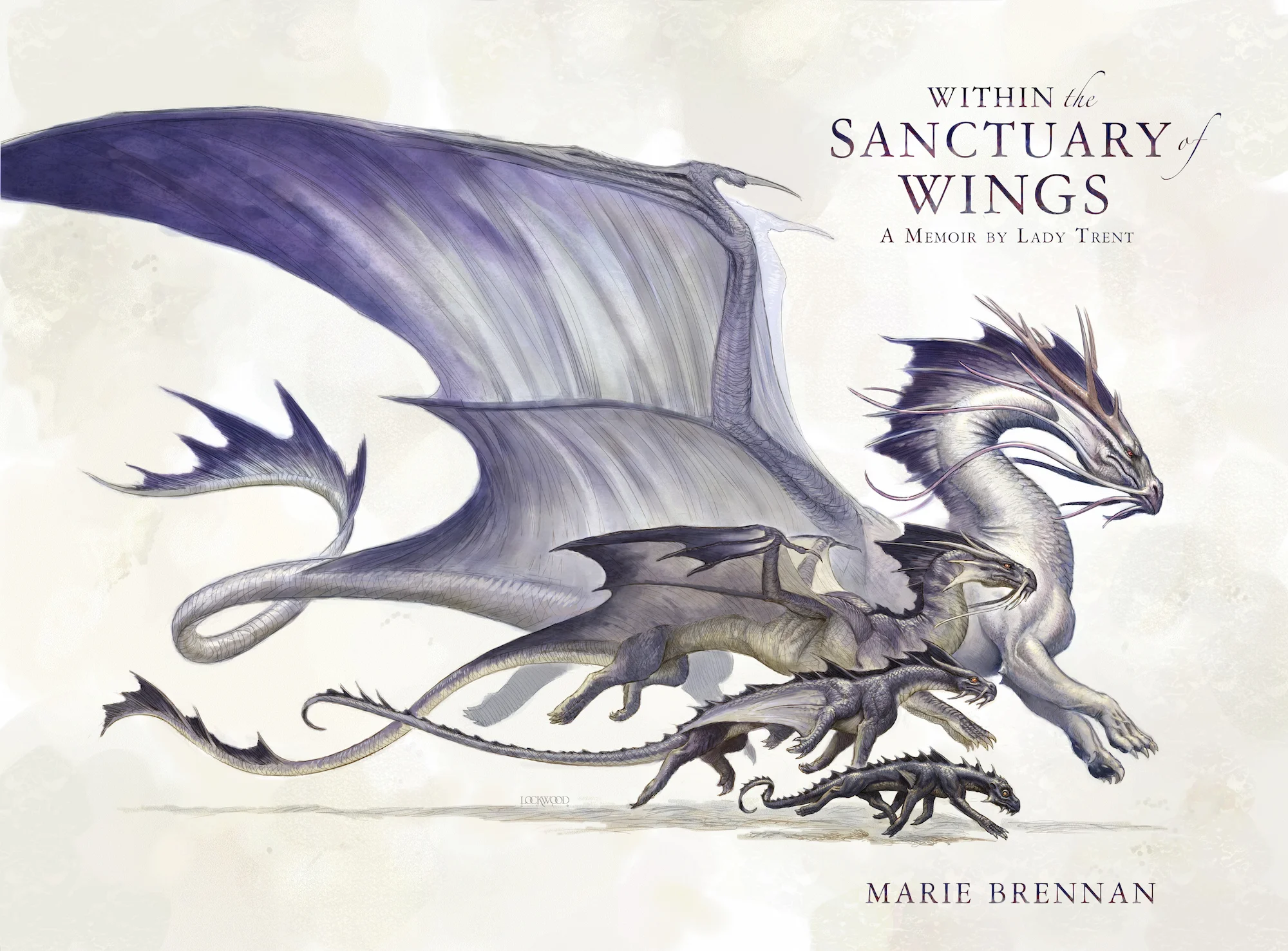 Within the Sanctuary of Wings