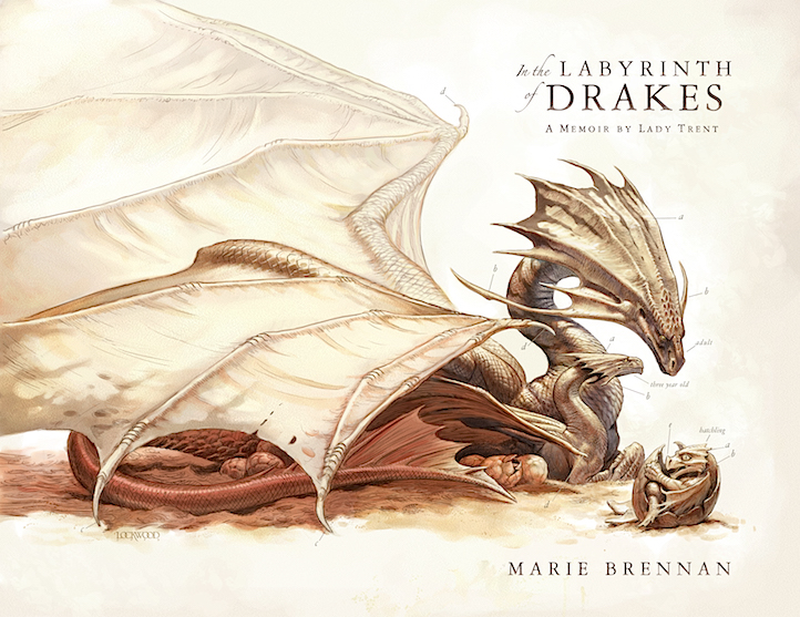 Labyrinth of Drakes