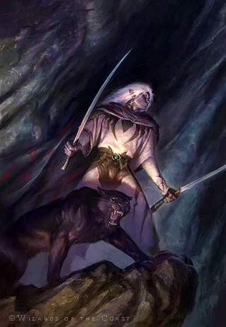 Drizzt and Guen
