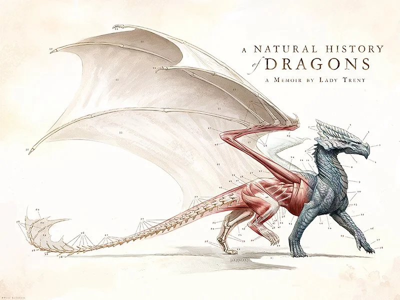 A NATURAL HISTORY OF DRAGONS