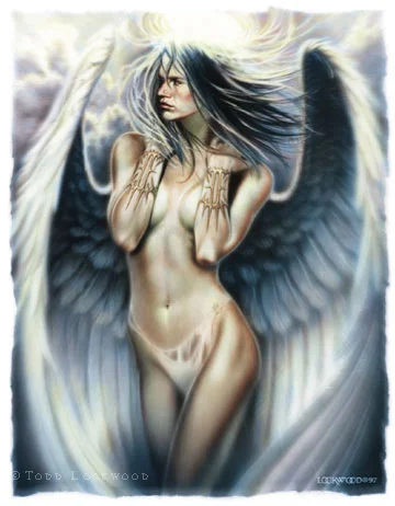 angel.jpg