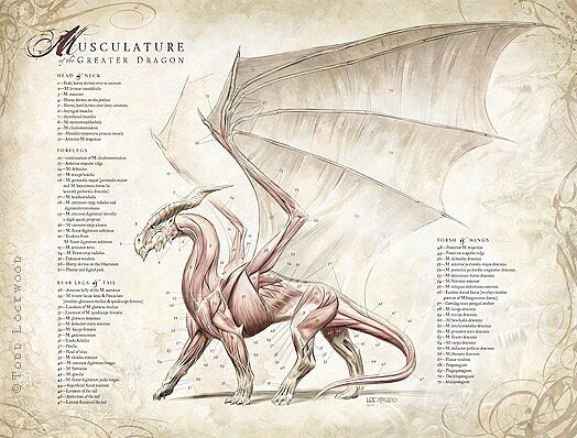 To kick off soaring back into posting art, I’m doing an AMA (about DRAGONS). Comment with your dragon questions!?!
#dragons