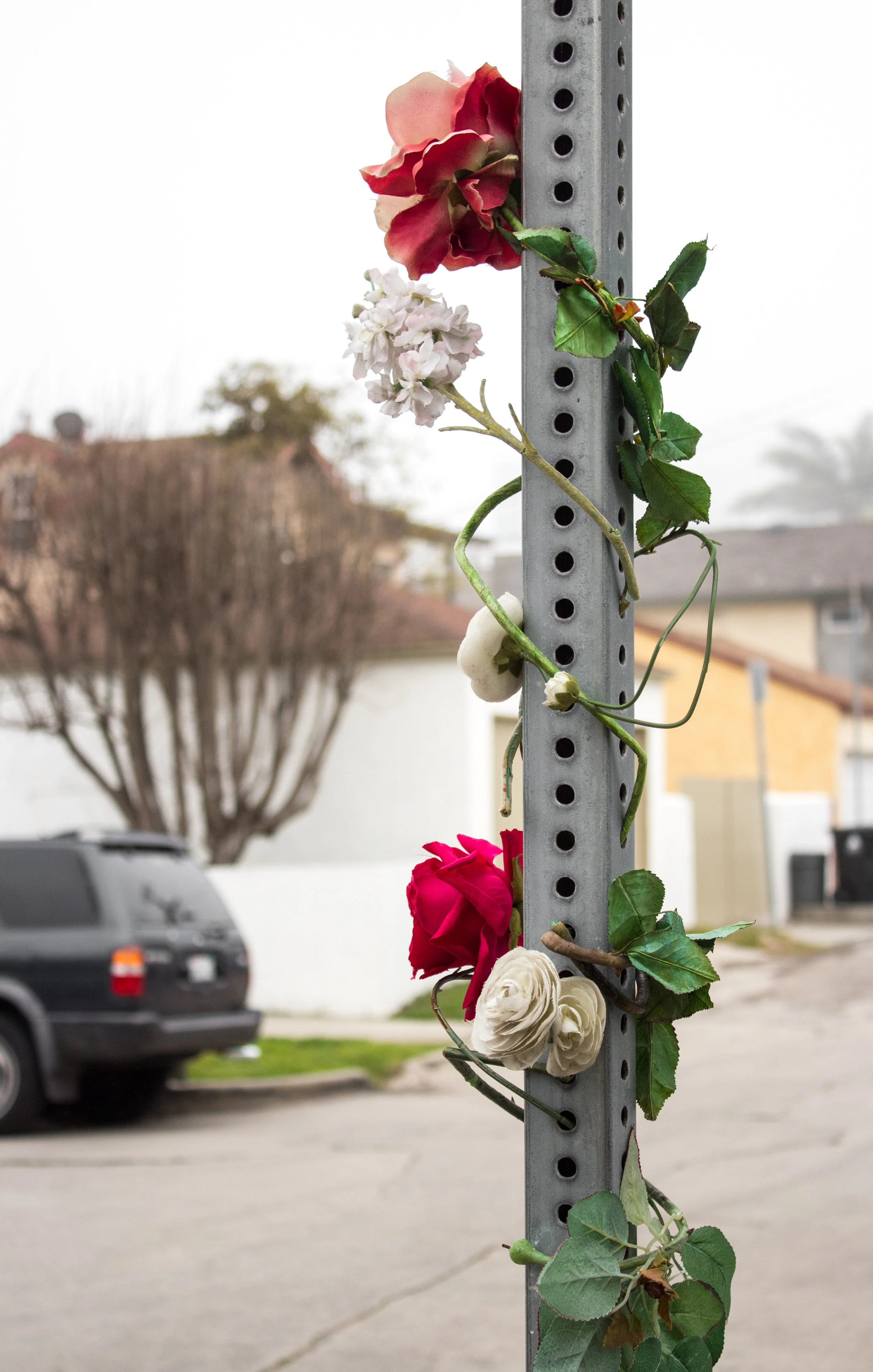 Roses_on_streetpole.jpg