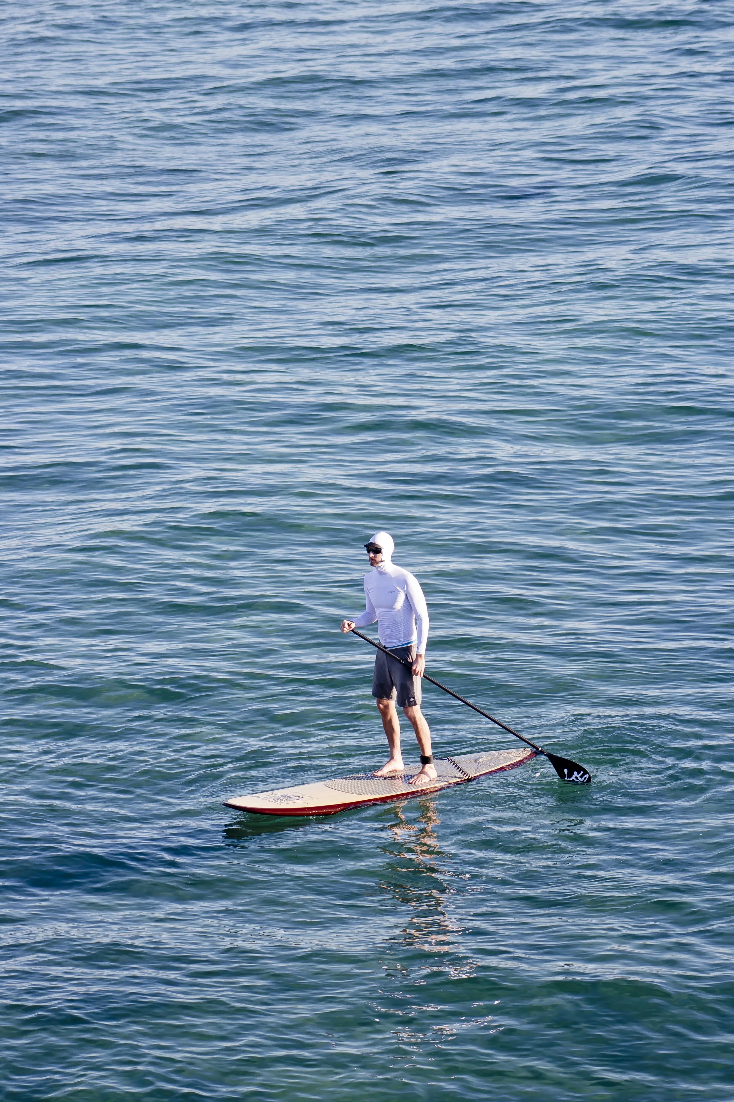 Standing_Surfer.jpg