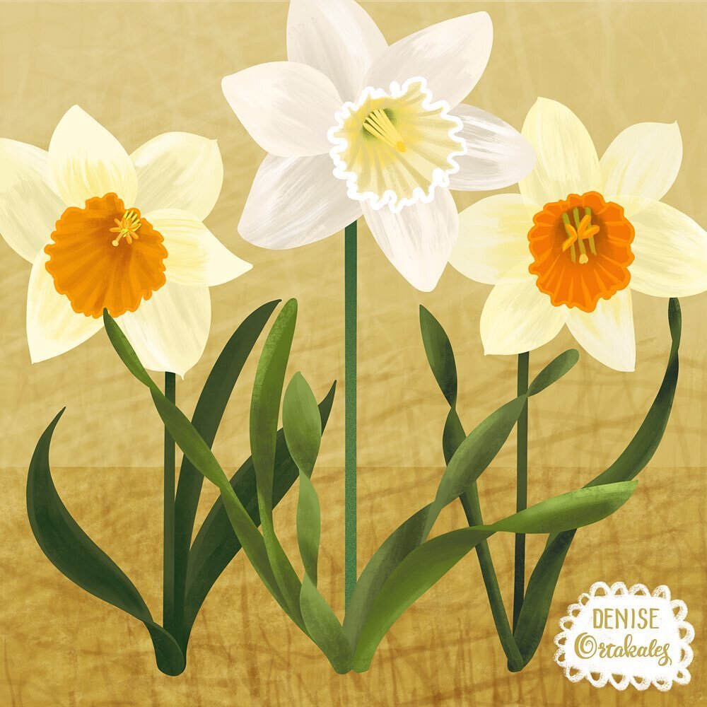 Day 6 of  @makeitindesign &lsquo;s #7dayfloralschallenge Today&rsquo;s prompt was Daffodil!
 .
.
#surfacepatterndesign #surfacedesign #surfacepatterndesigner #surfacepattern #floralpattern #daffodils #makeitindesign #miid #miidfloralsandnature #theyg
