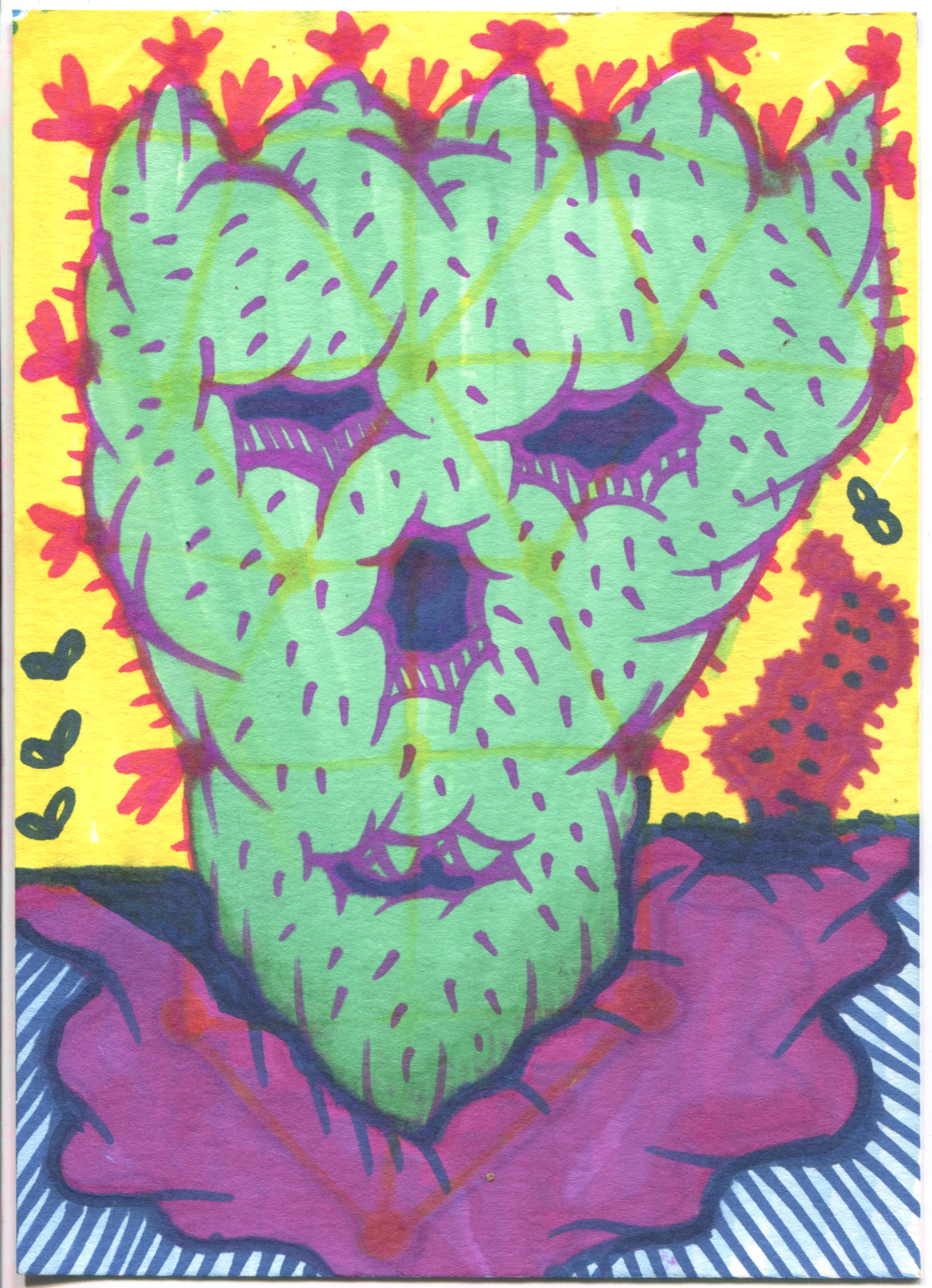 Cactus with Purple