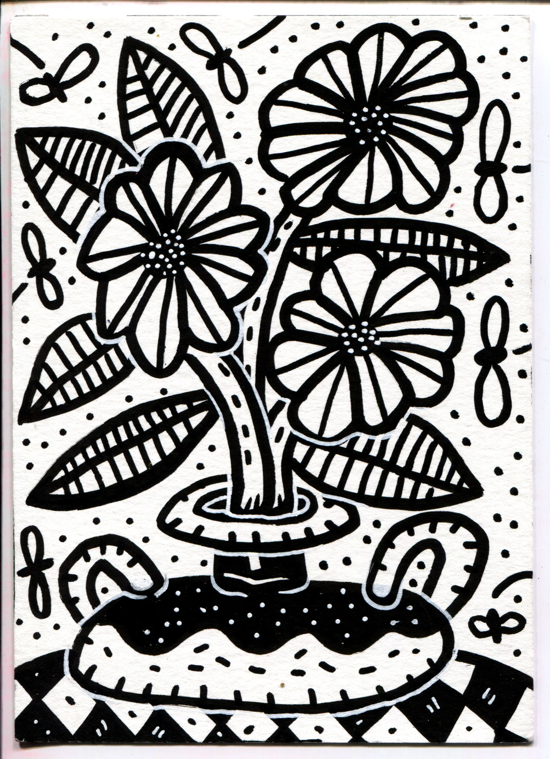 Flower Pot