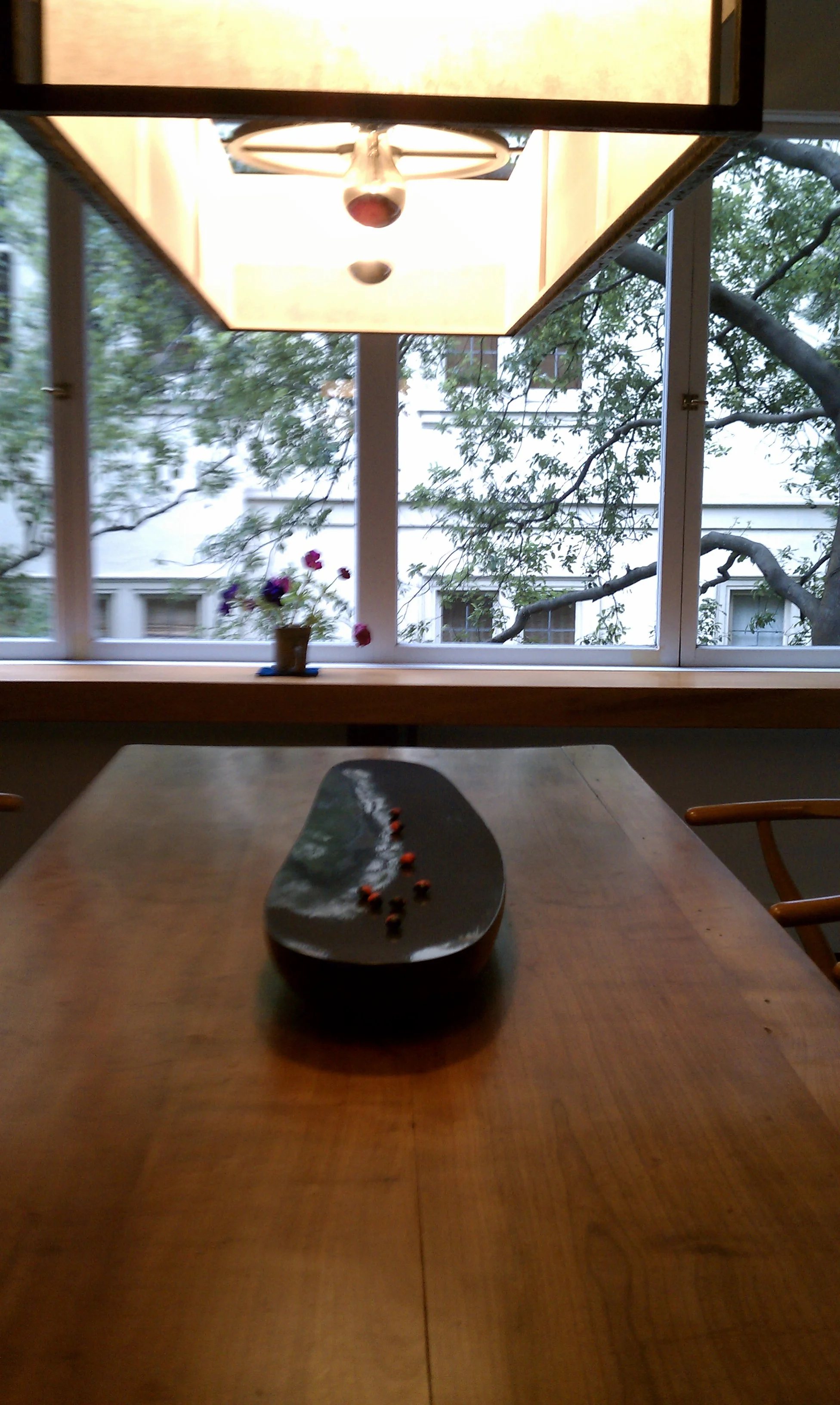 IMAG0046.jpg