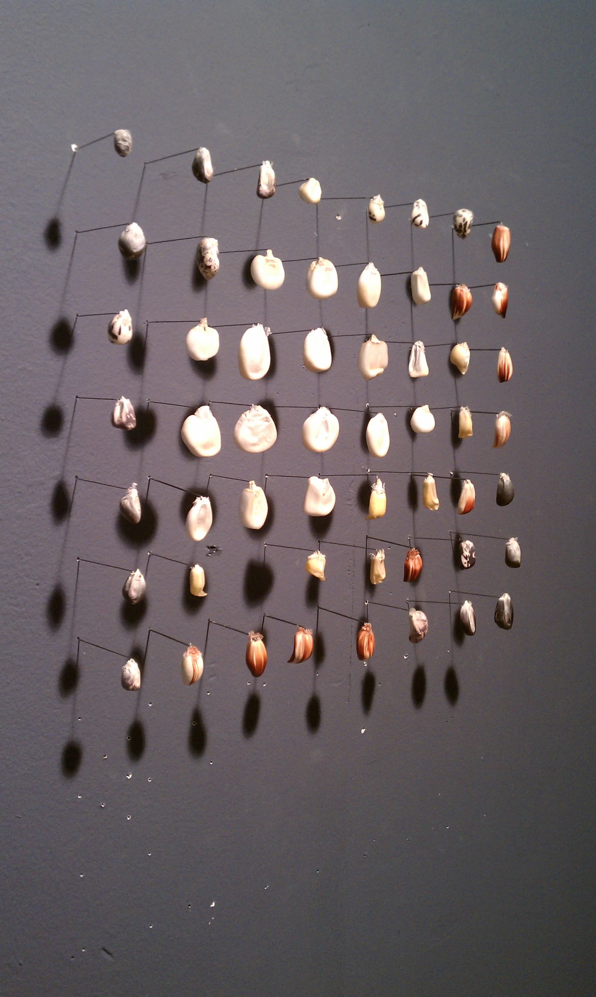 IMAG0523.jpg