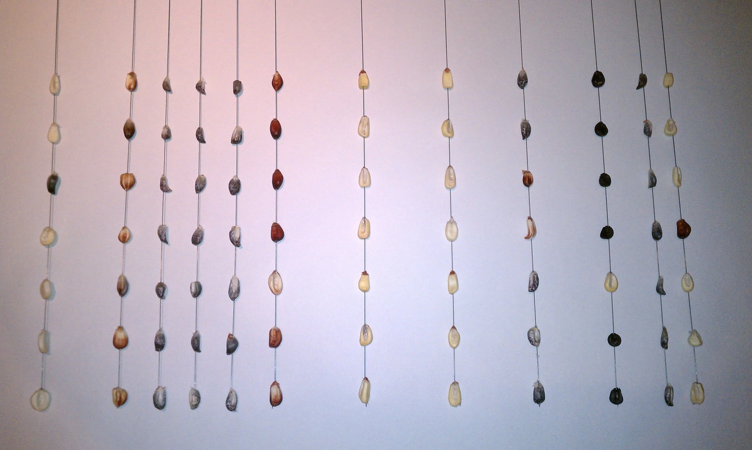 IMAG0663.jpg
