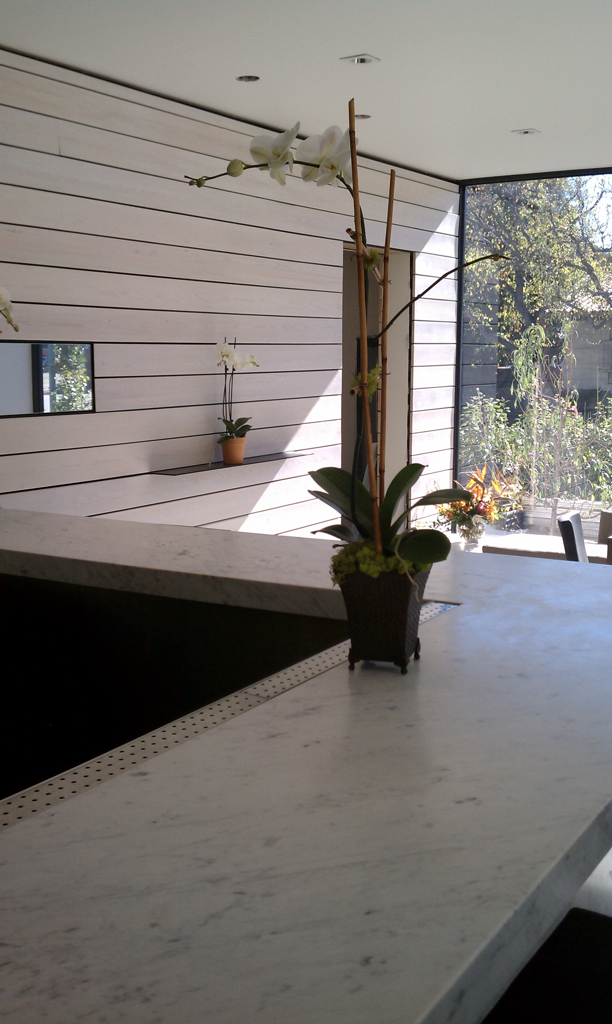 IMAG0104.jpg