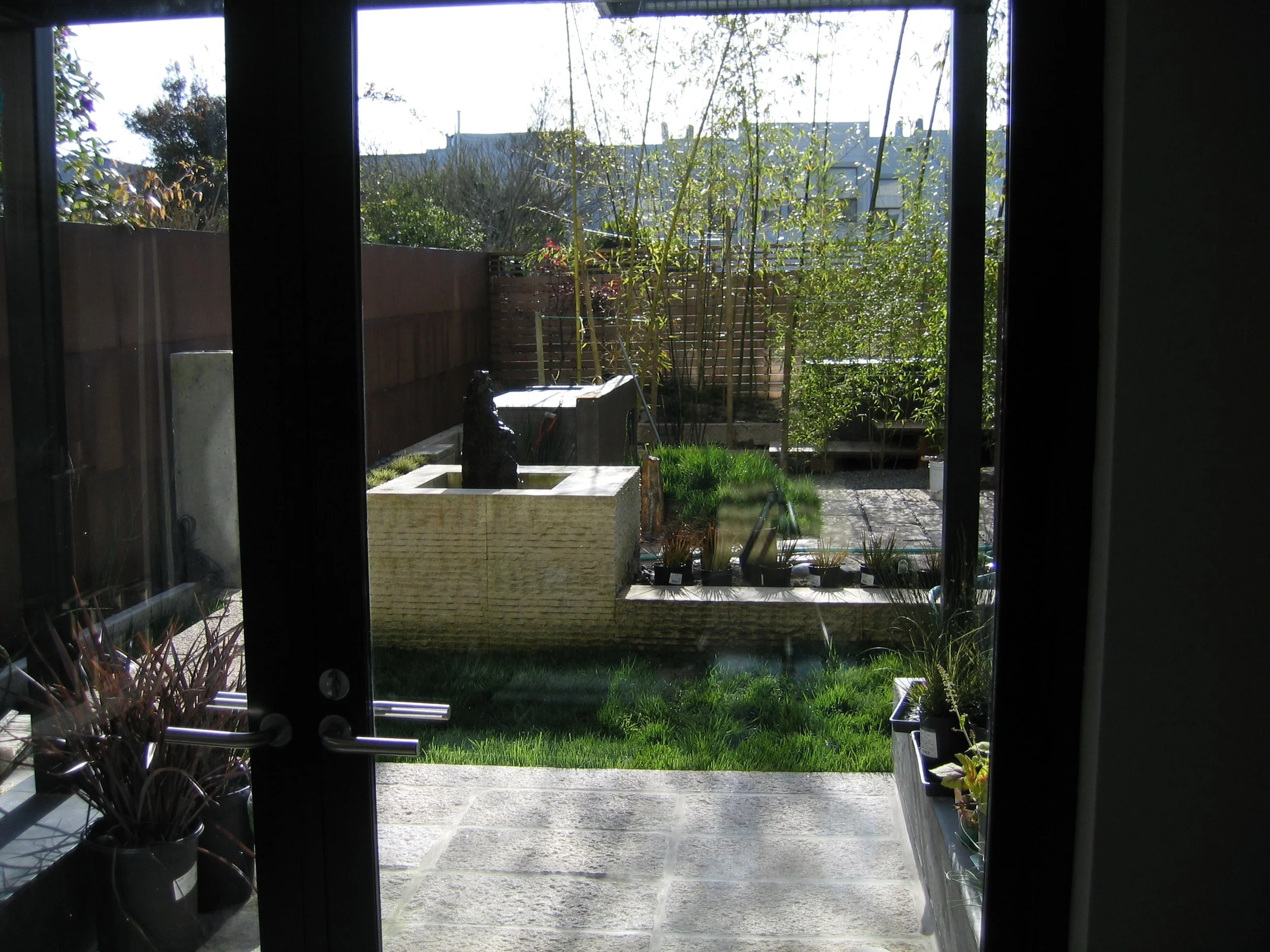 rear yard 1.jpg