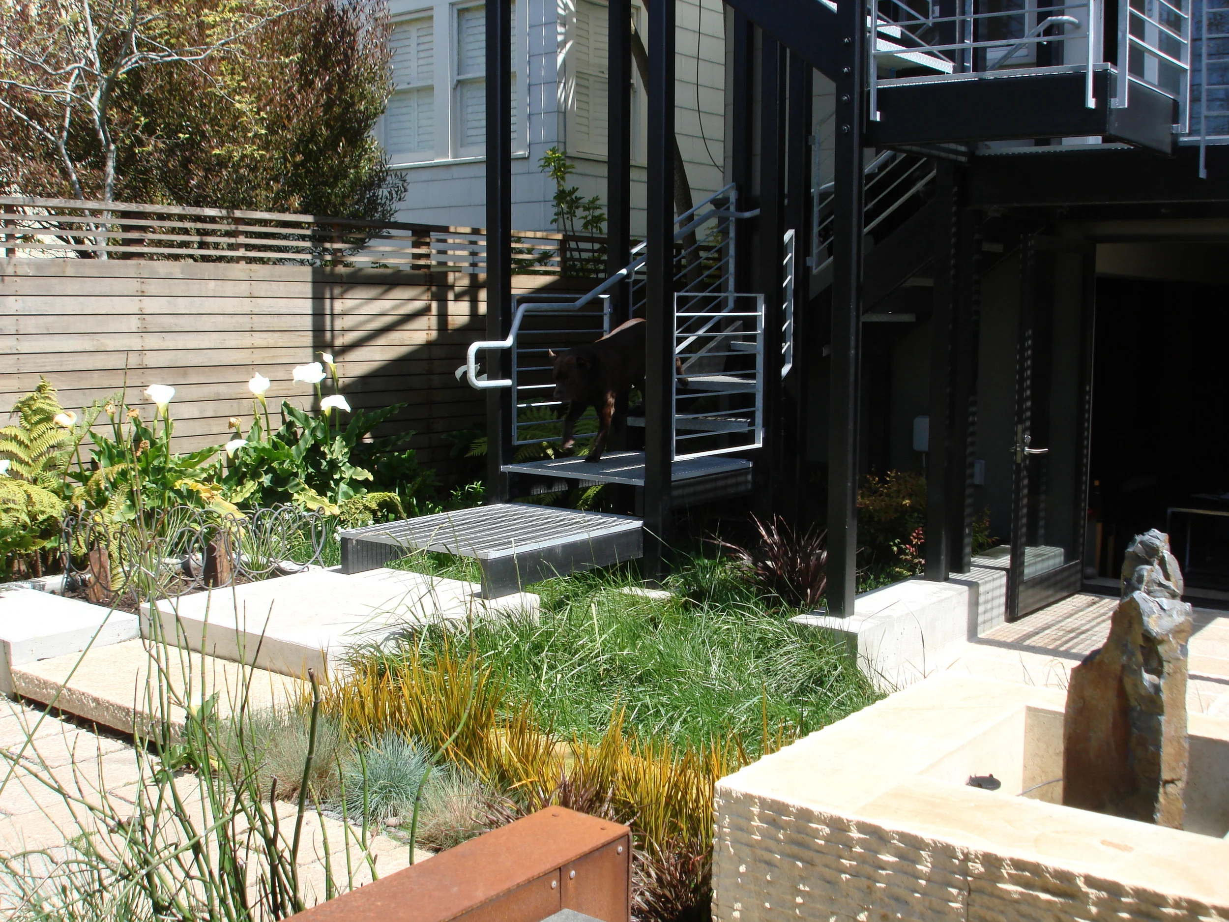 rear yard 4.jpg