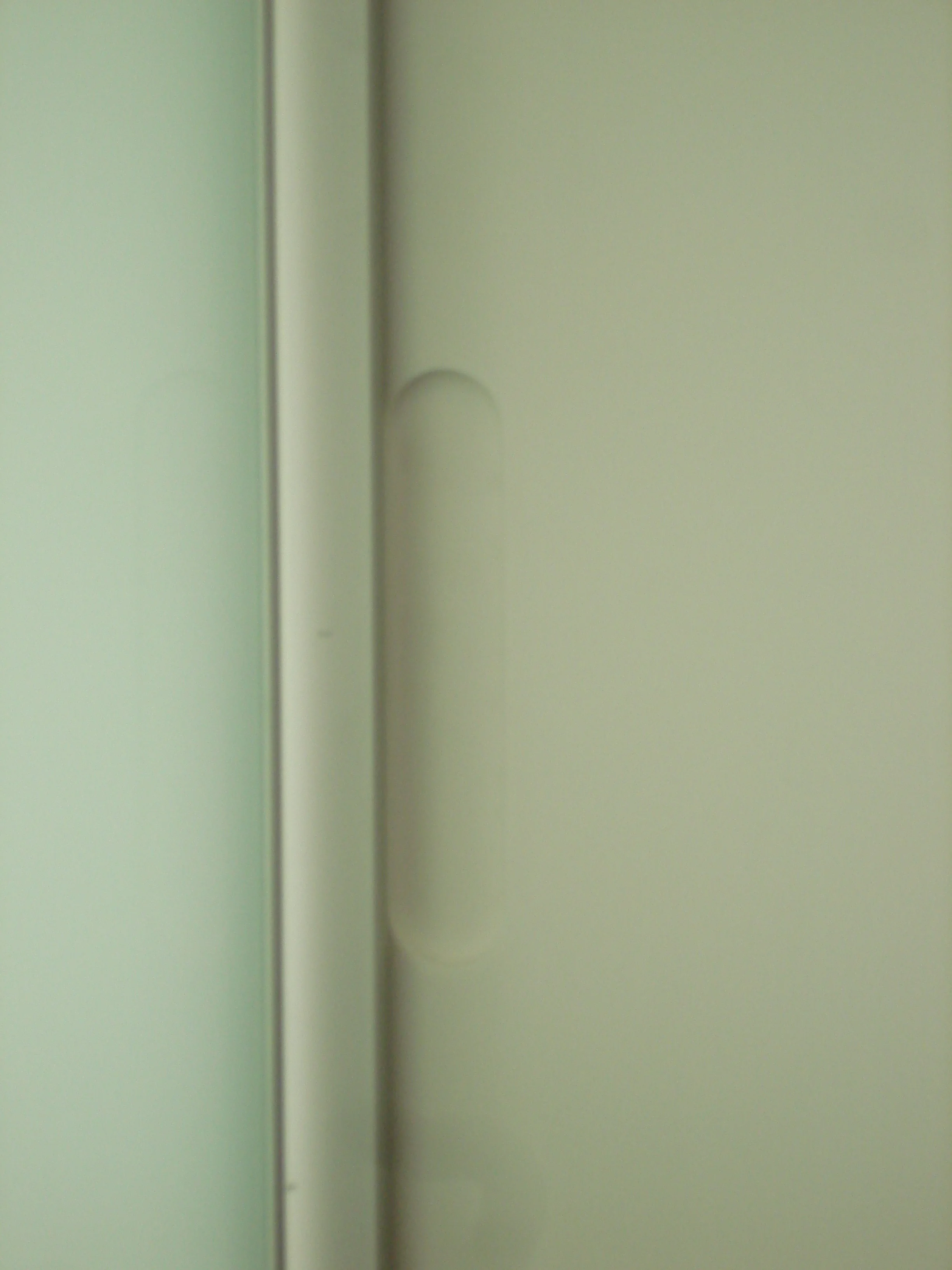 DSC00988.JPG