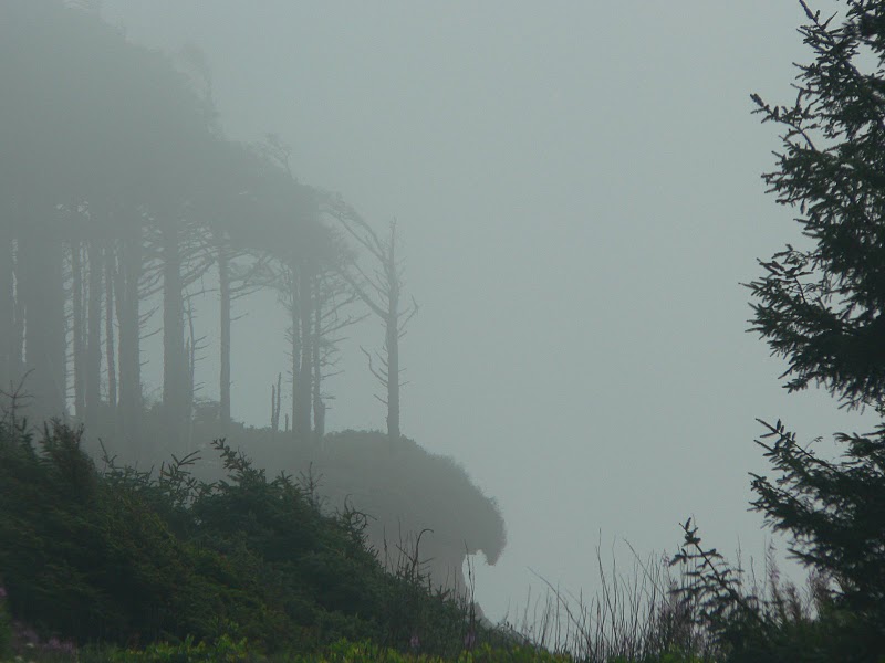 Oregon coast, photo by Ed Wheeler