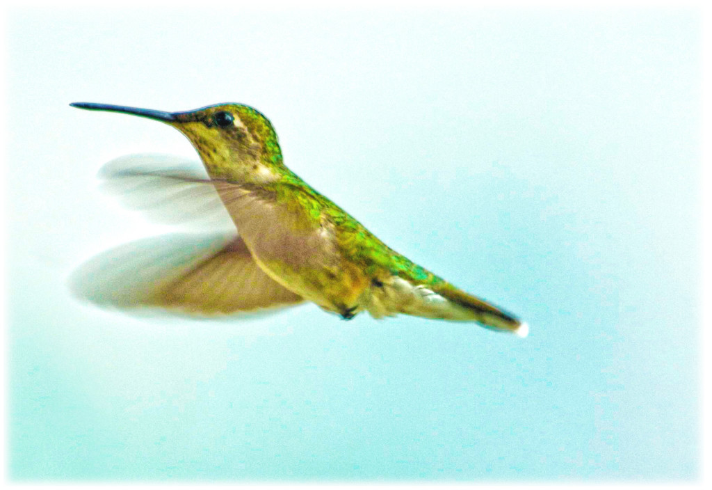 Photo by Eileen MacAvery Kane