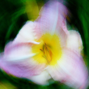 Photo by Eileen MacAvery Kane
