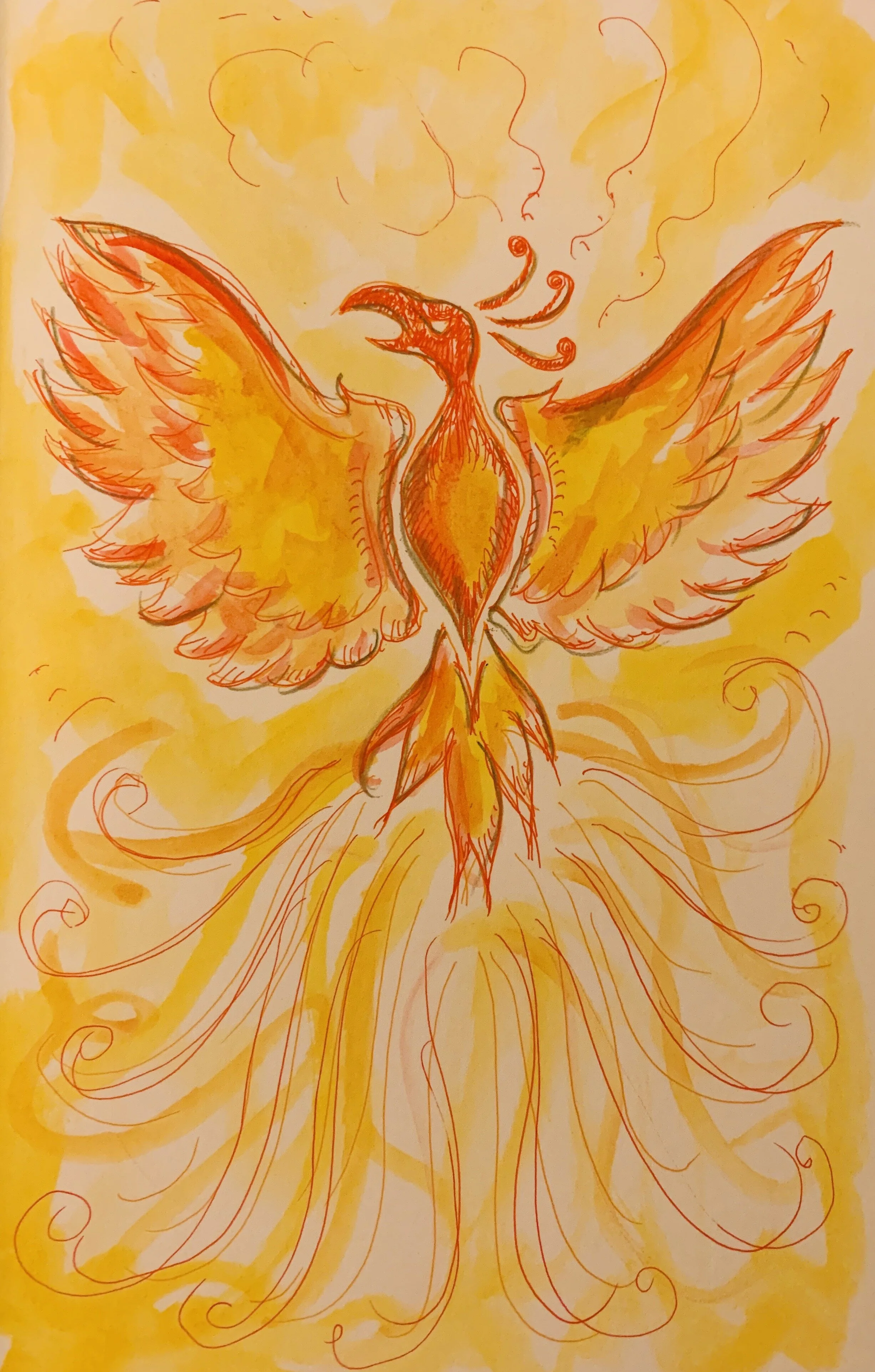 Phoenix Bird Rising From The Ashes Drawing