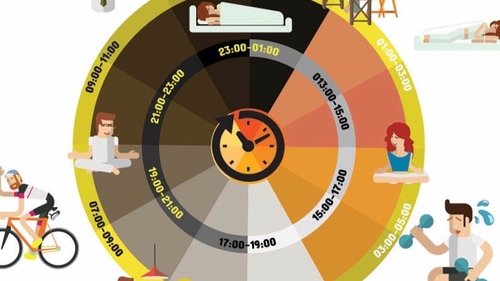 chronobiology-and-the-science-of-time-2.jpg