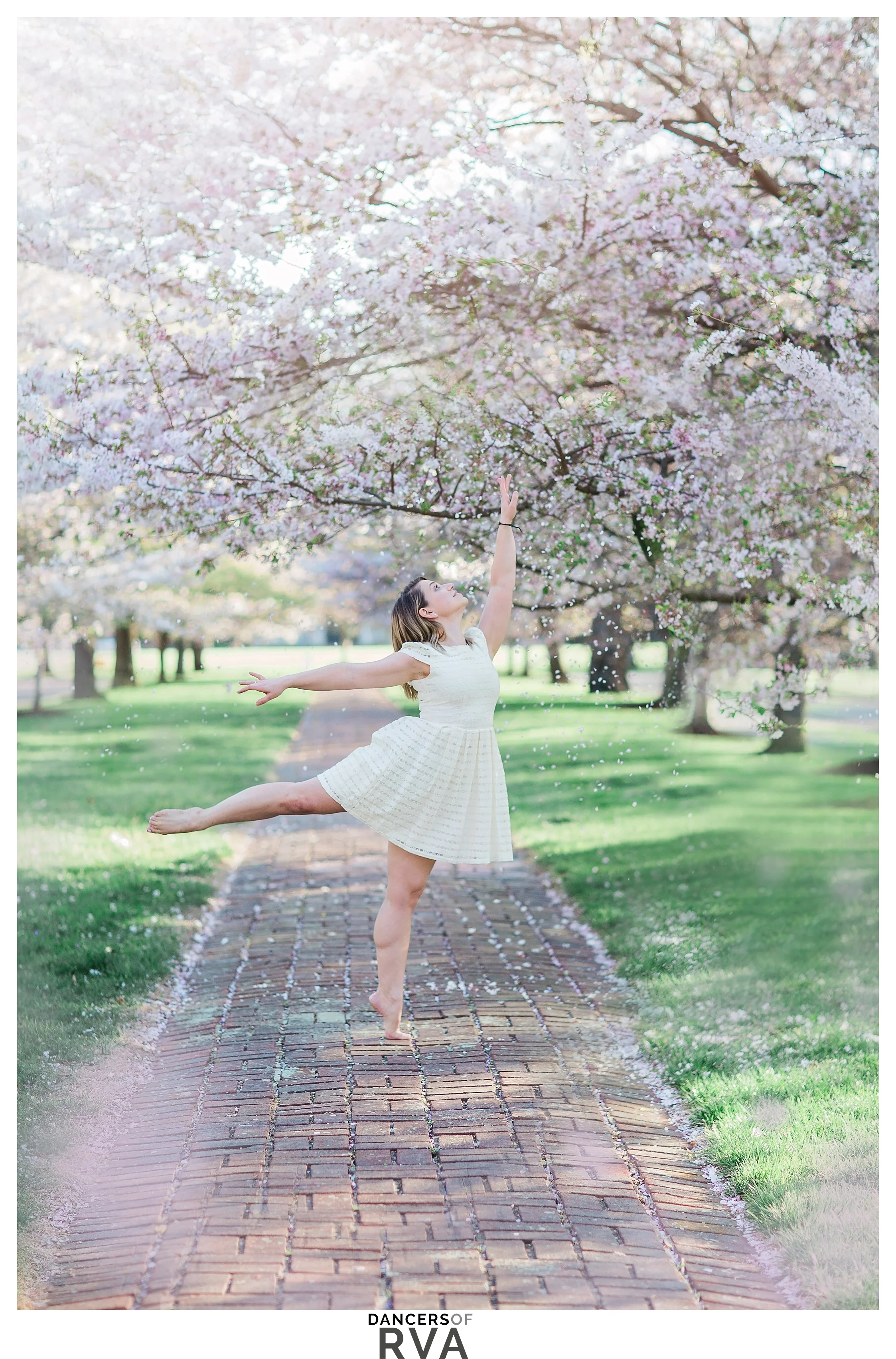 Richmond- VA- Dance- Project-Dancer-in-Windsor-Farms-Cherry-Blossoms