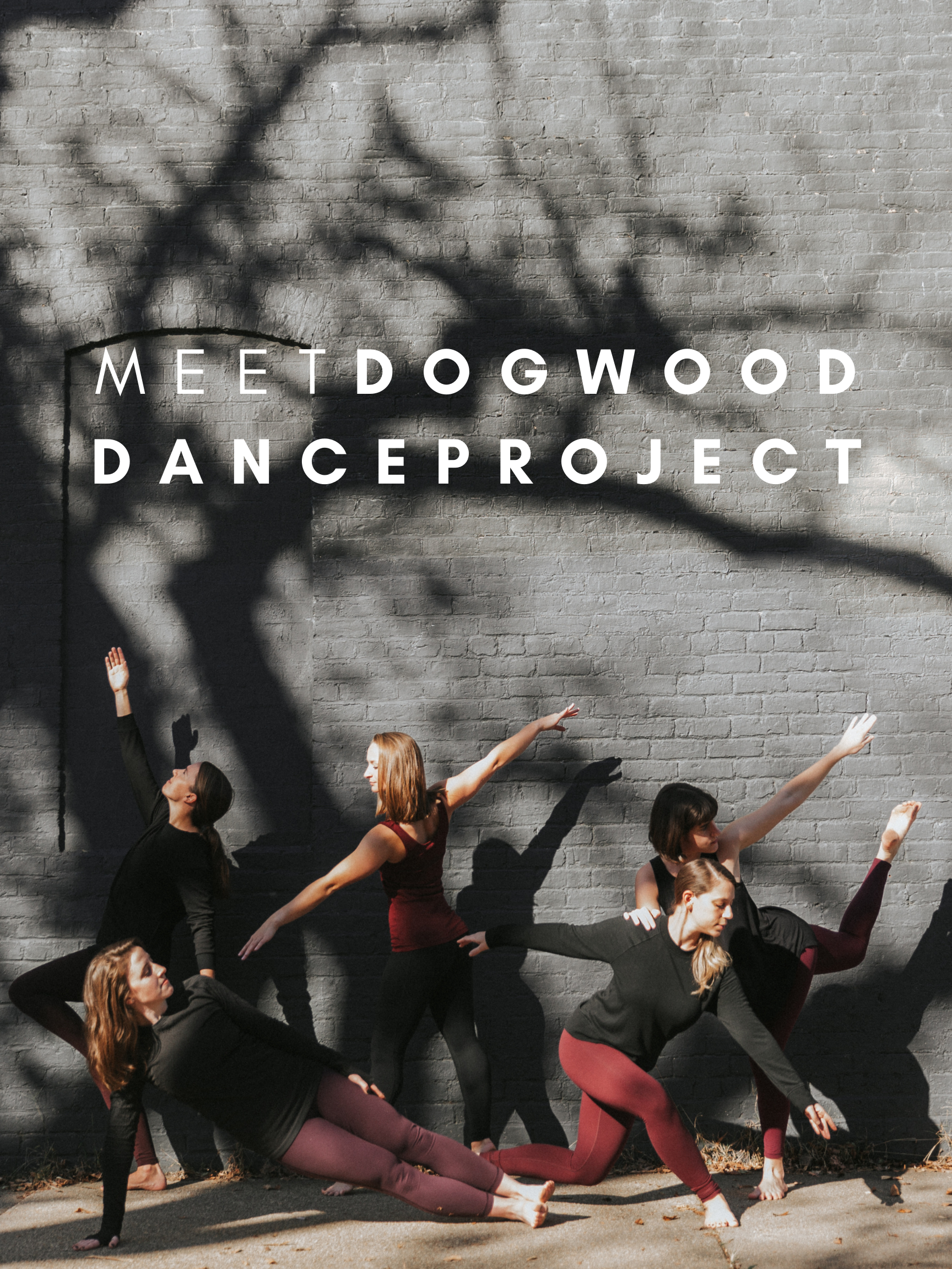 Meet Dogwood Dance Project | Best Performance Dance Company | 2020 
