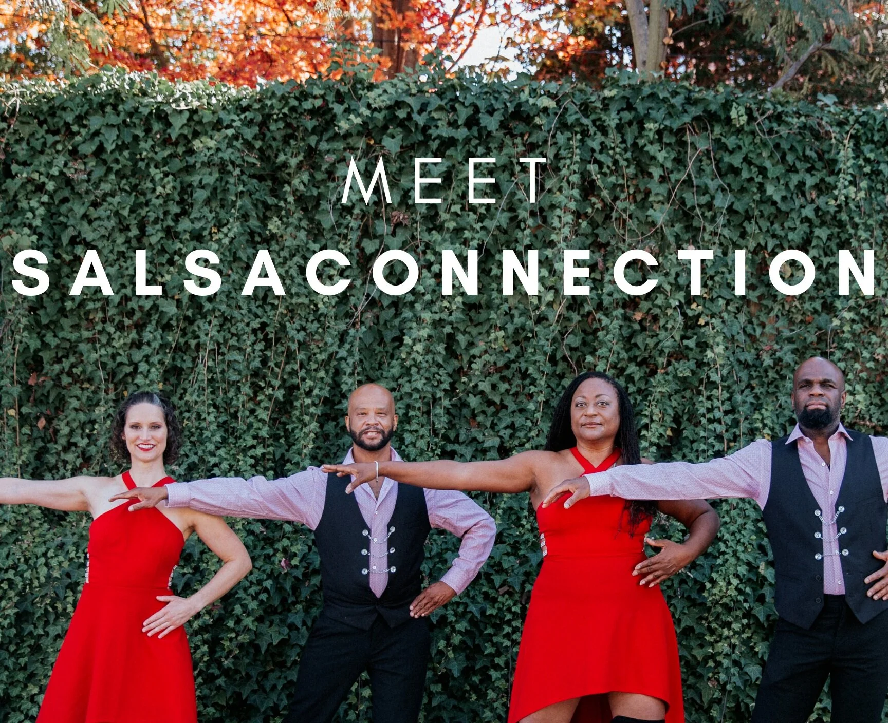 Meet Salsa Connection Dance Company | Best Latin Dance Studio | 2020