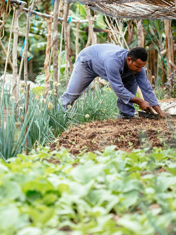 Gardening.jpg