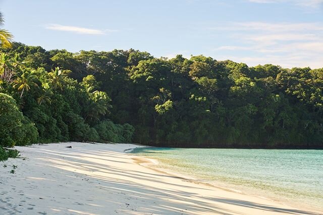 An excursion to our neighboring island reserve, Vatuvara, promises the magic of an untouched and uninhabited ancient volcanic island, a true South Pacific paradise teeming with bird and marine life 🌴 Photo by @cparkphoto