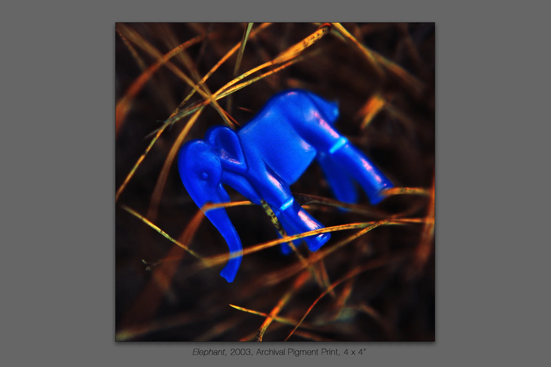 Elephant, 2003