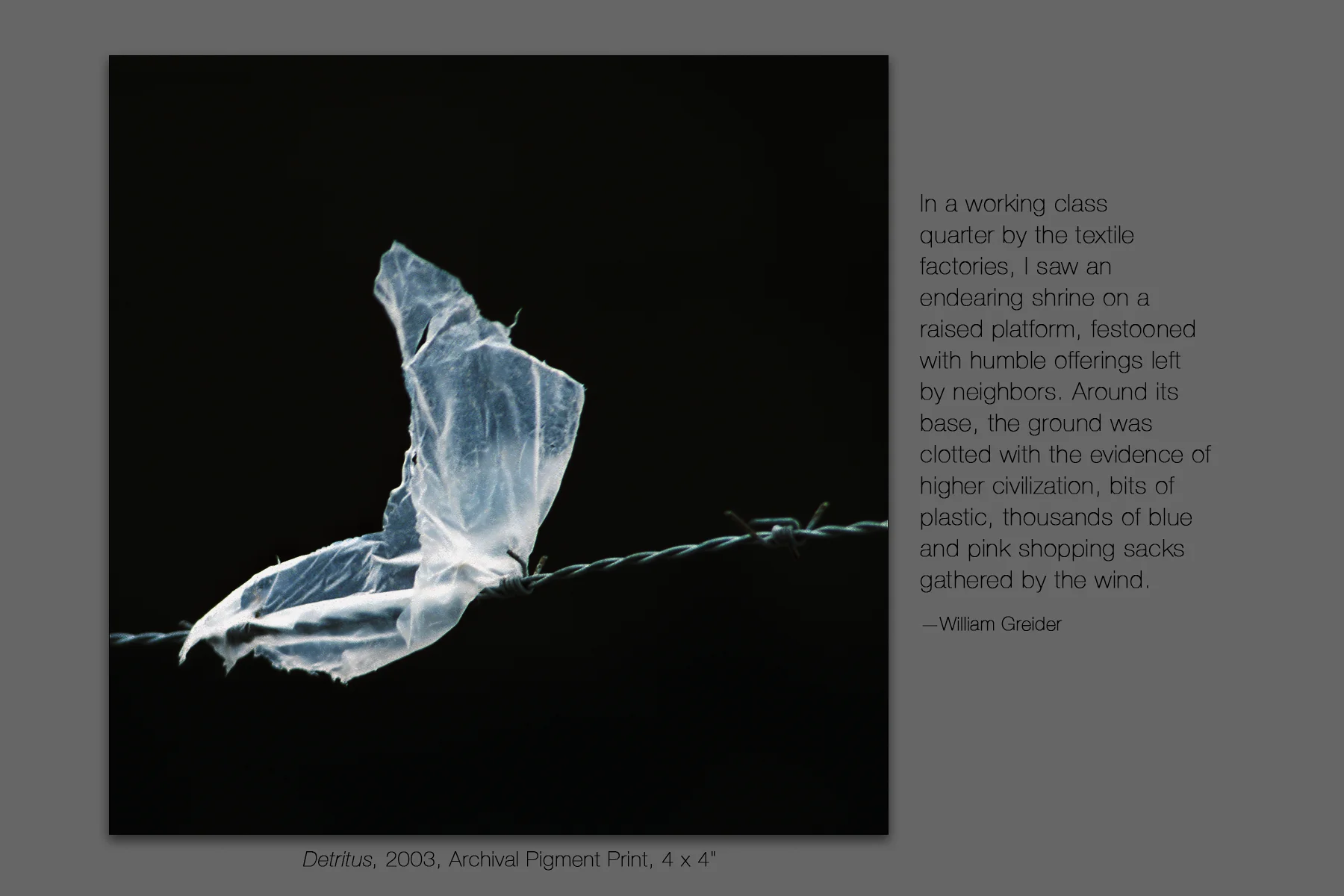 Detritus, 2003
