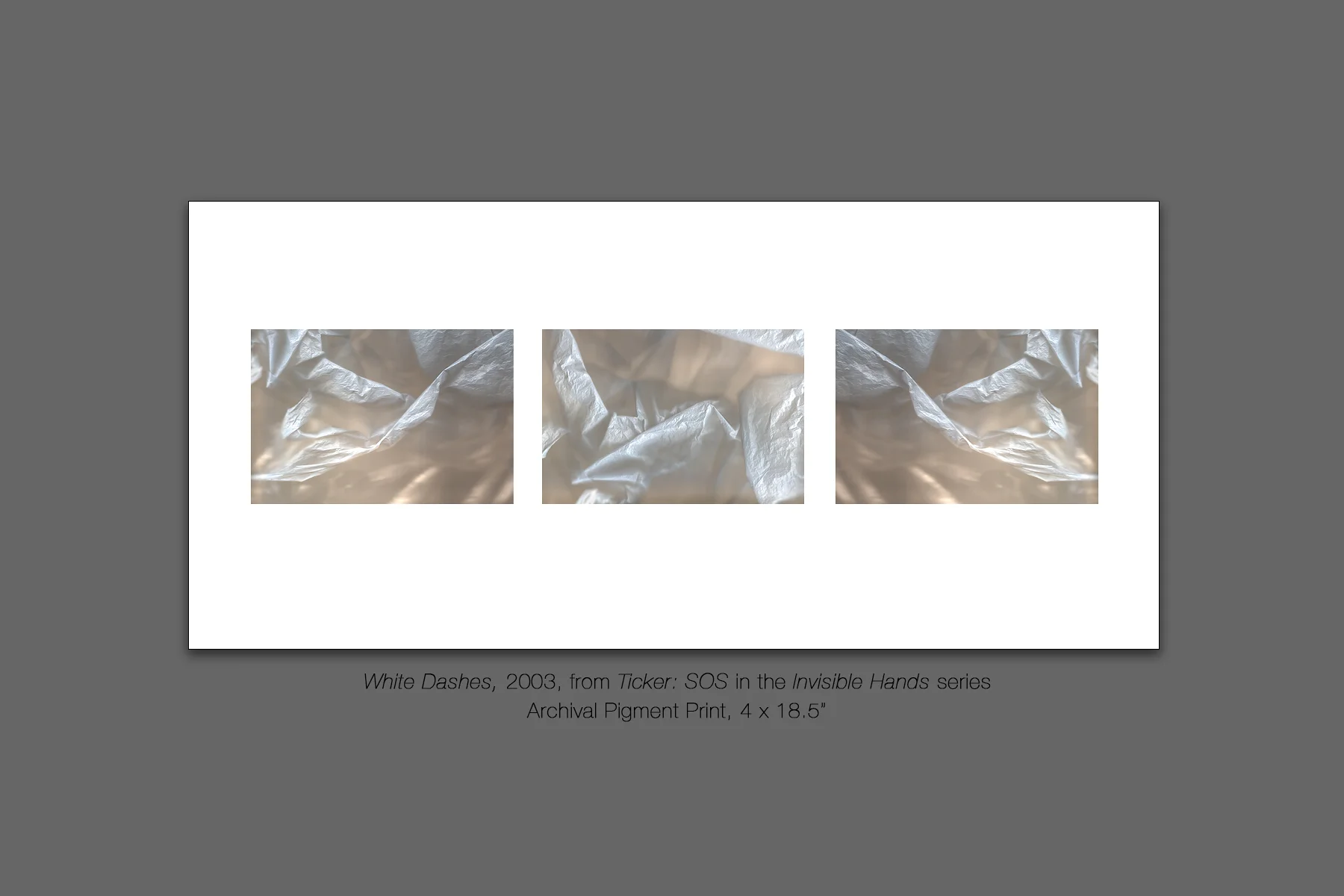 White Dashes, 2003