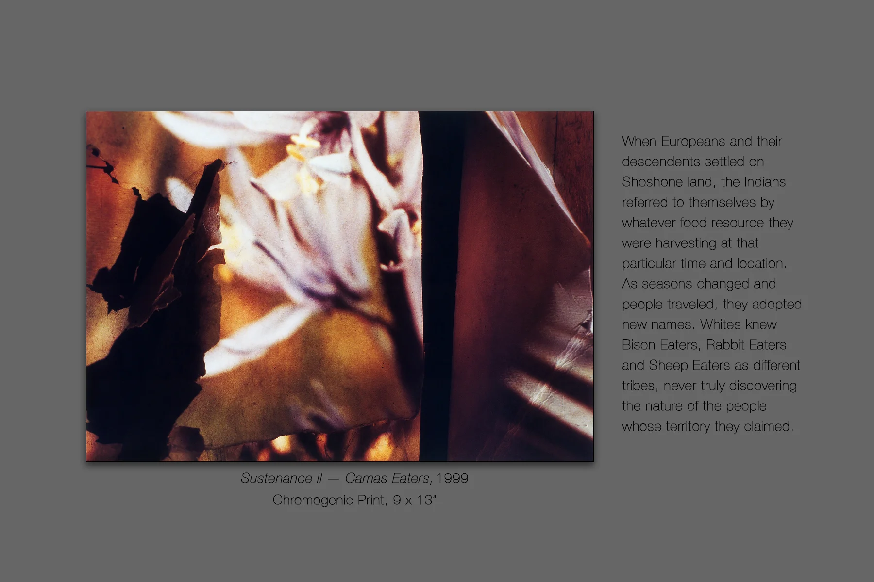 Sustenance II — Camas Eaters, 1999