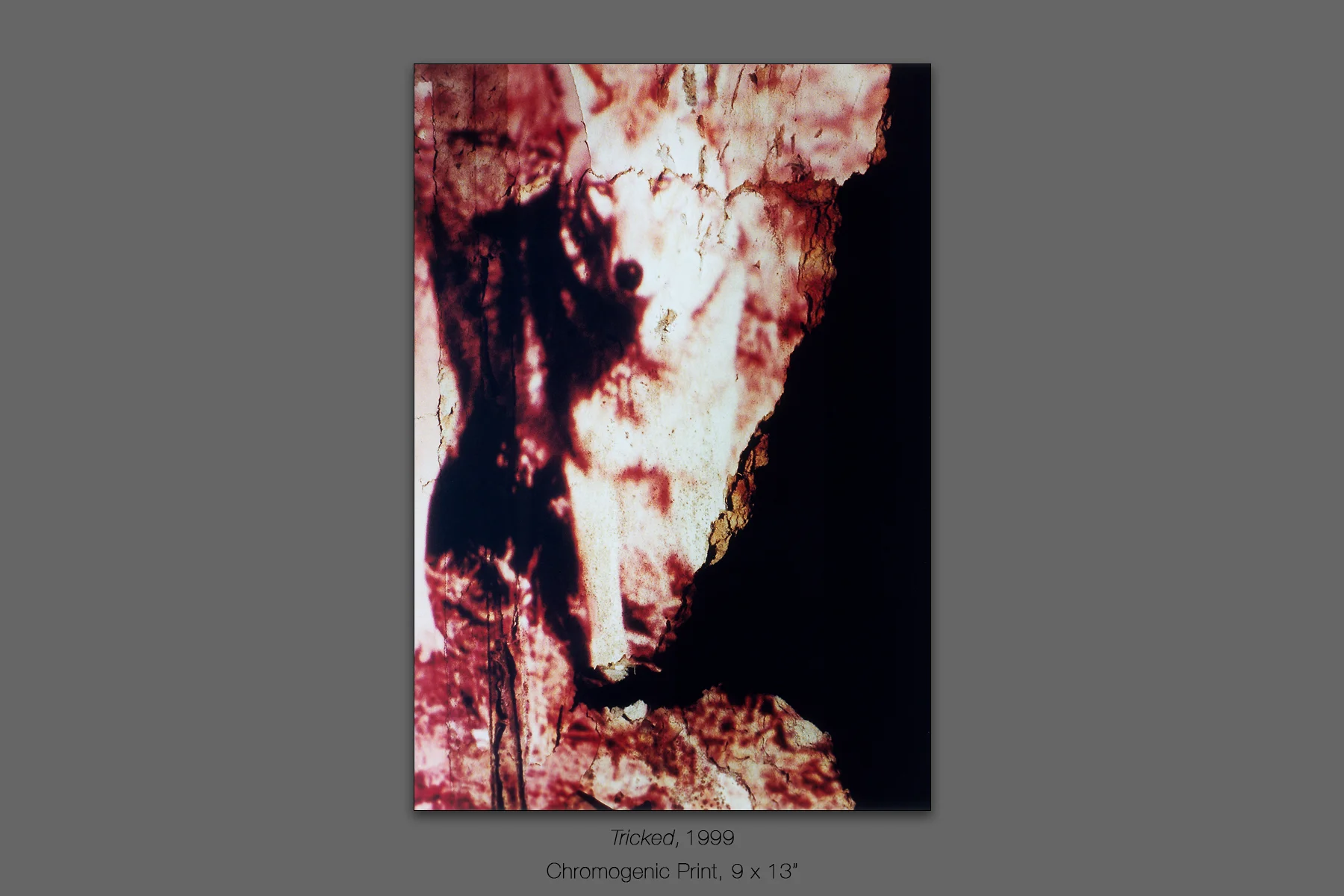 Tricked, 1999