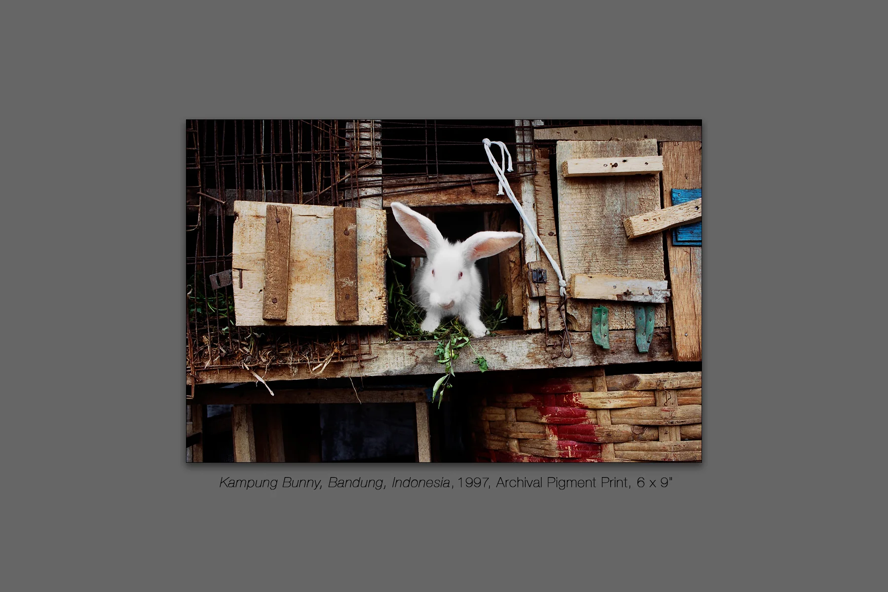 Kampung Bunny, Bandung, Indonesia, 1997