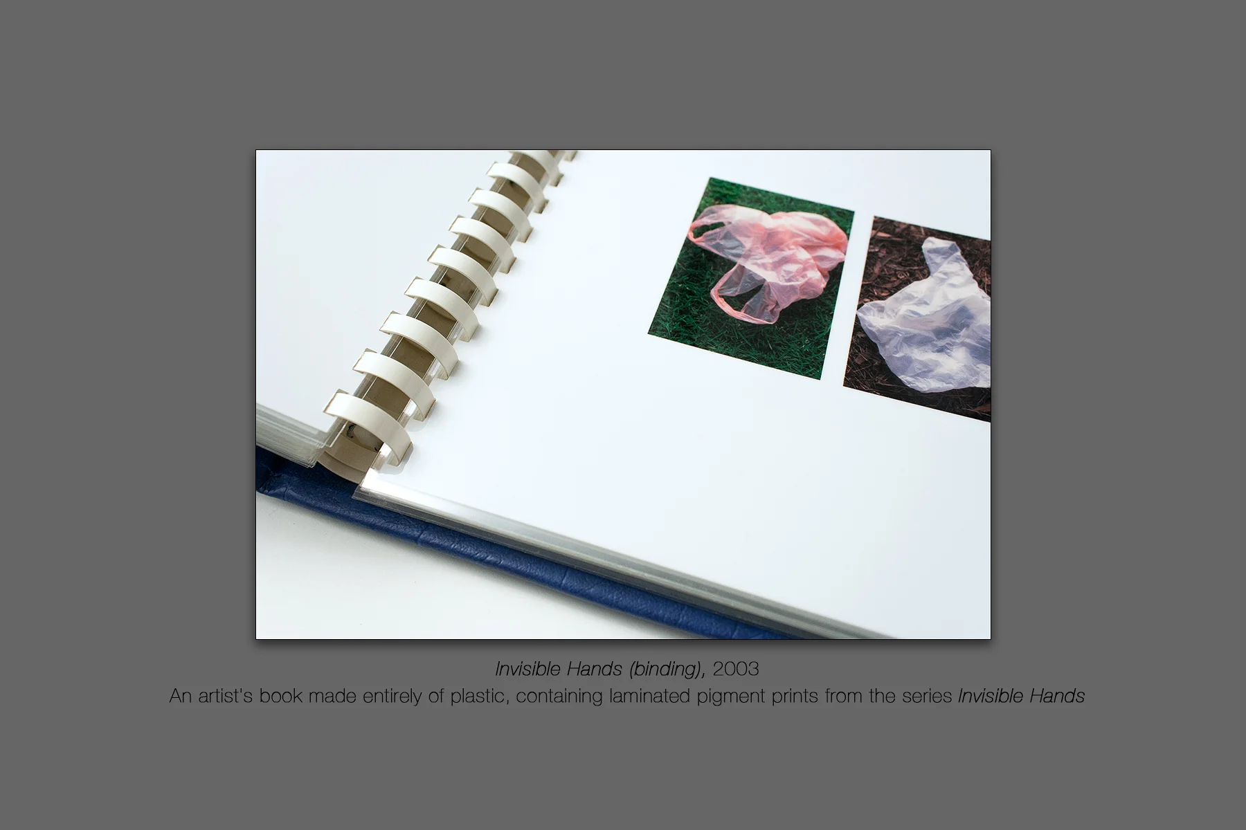 Invisible Hands (binding), 2003