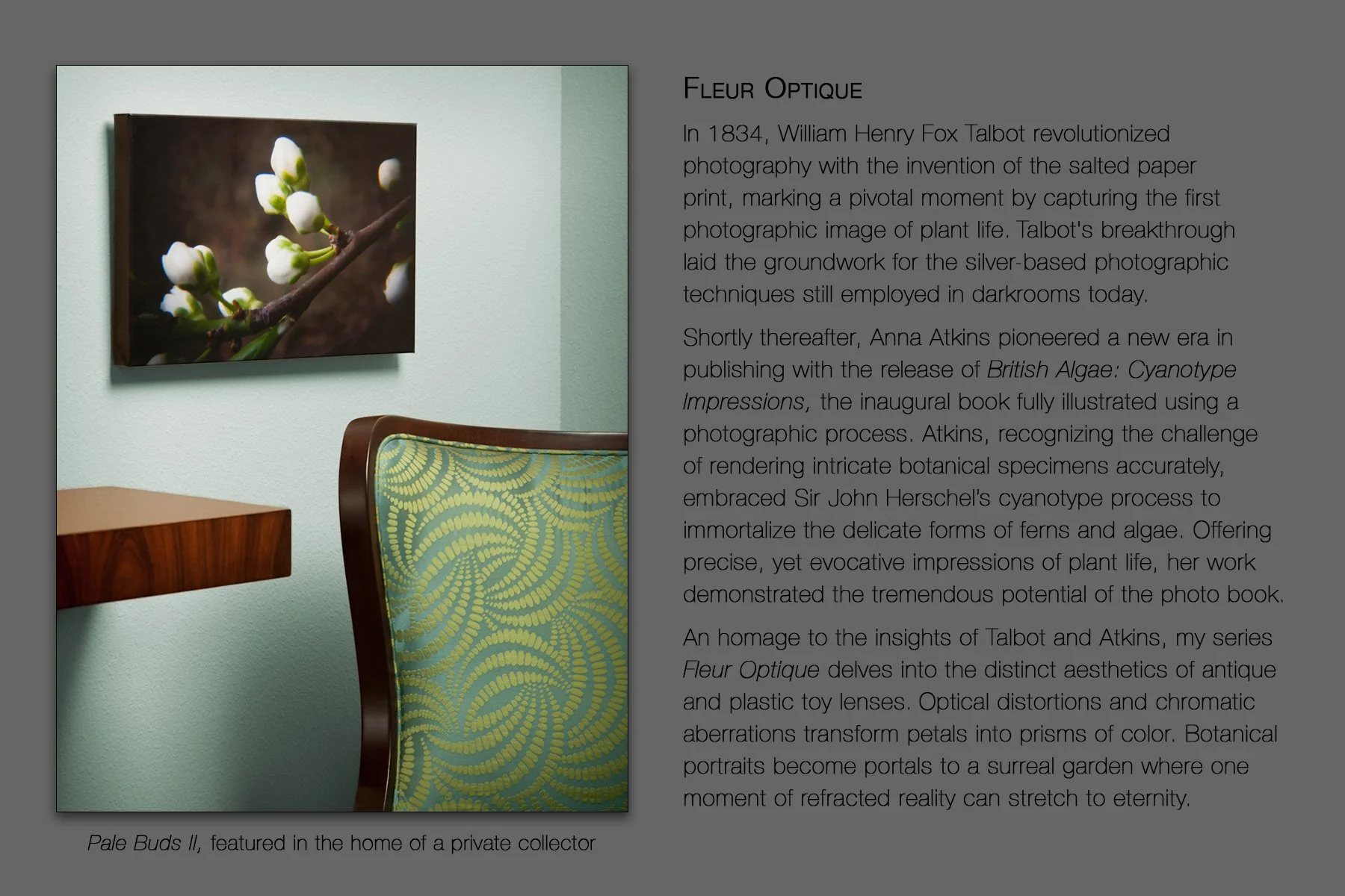 donahue_fleur_optique.jpg